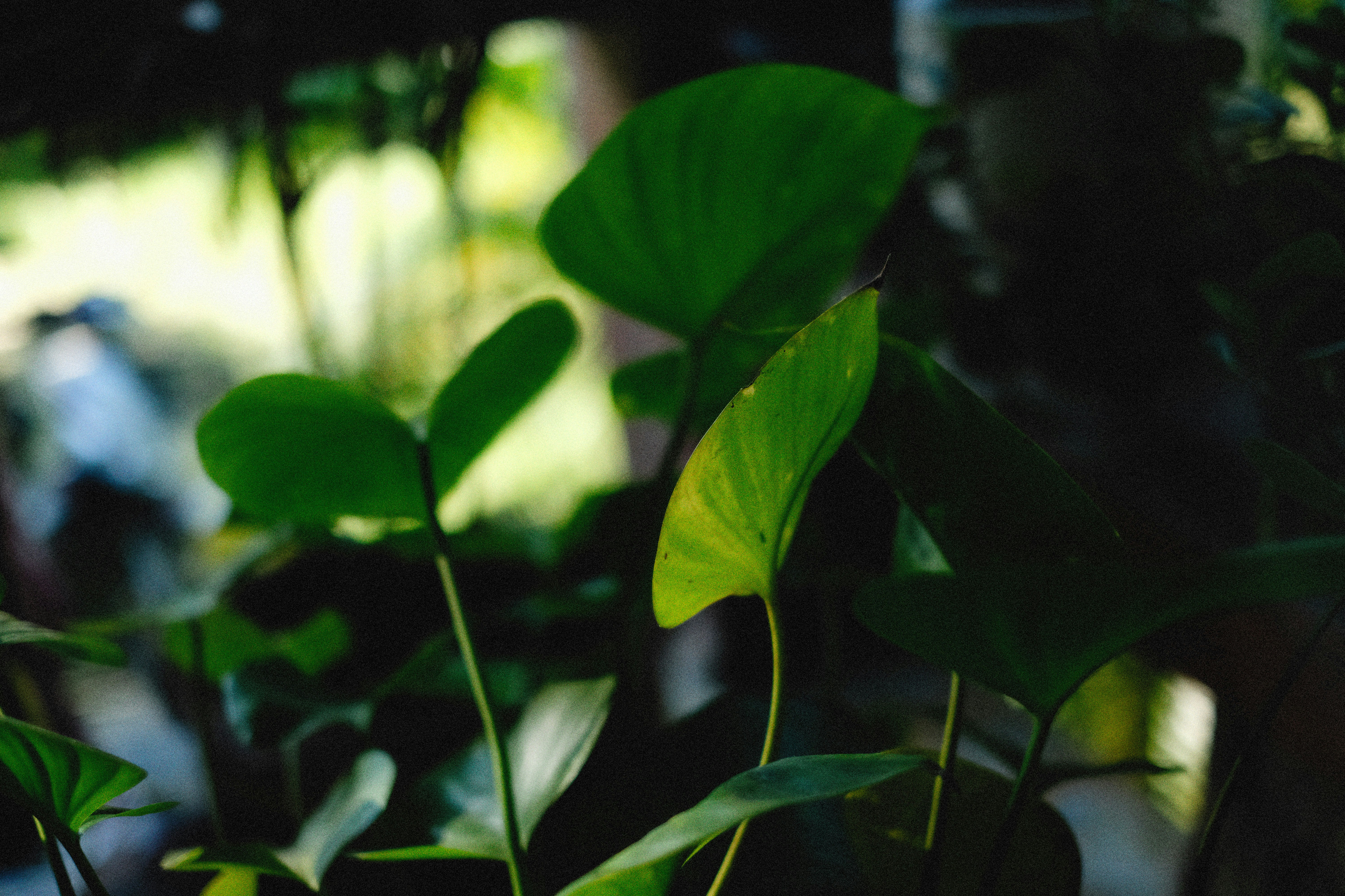 Photo by alexeydemidov