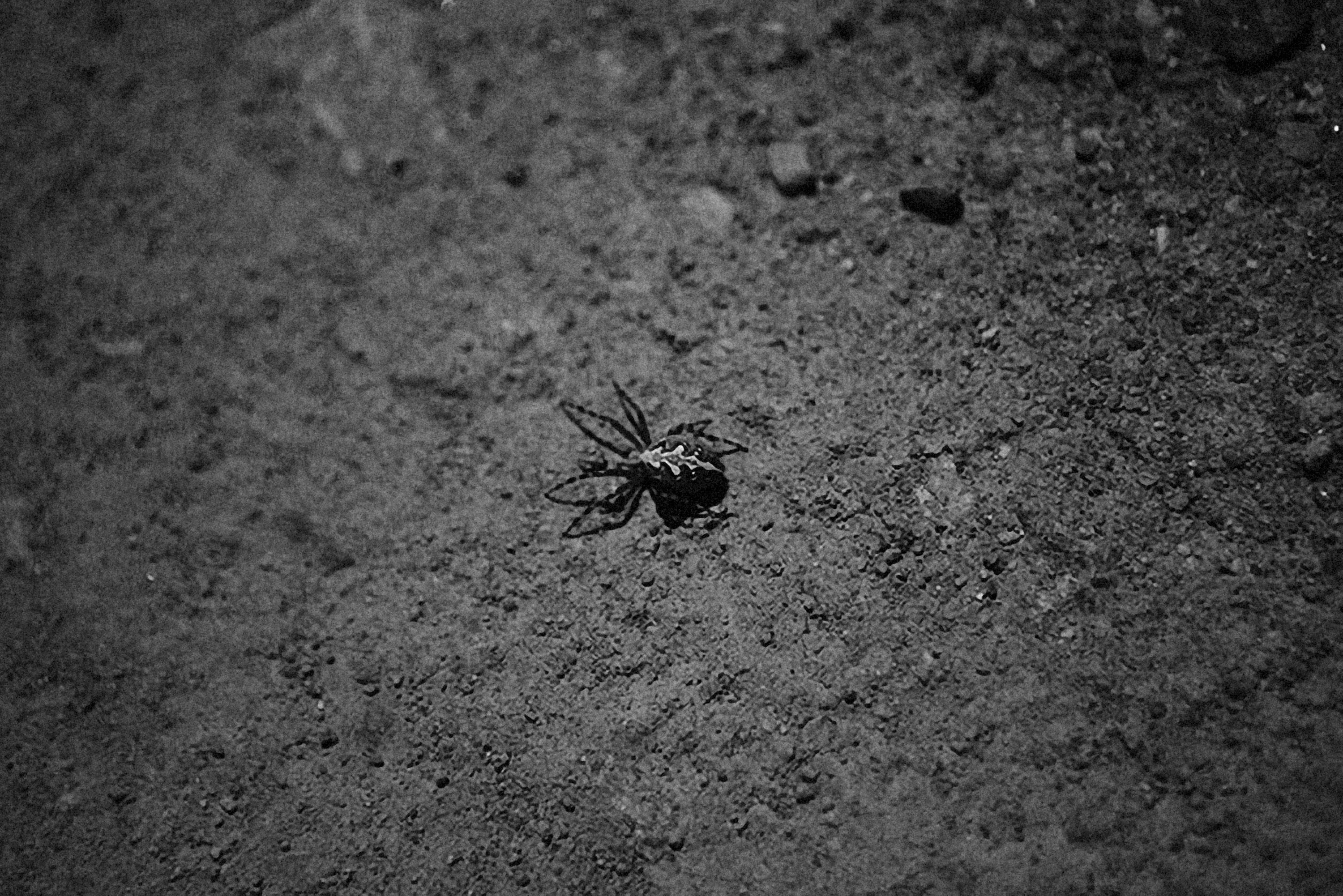 Photo by alexeydemidov