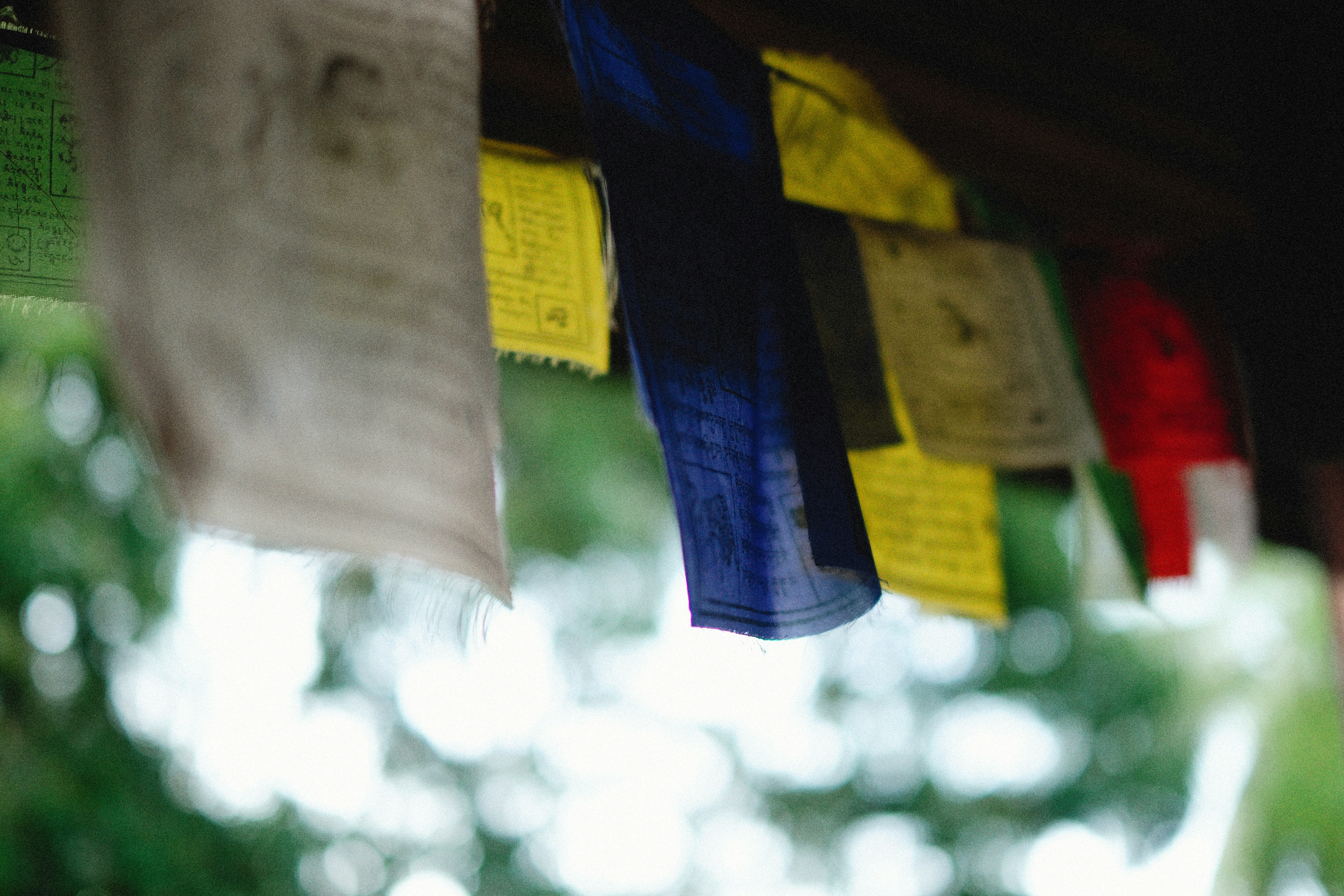 Photo by alexeydemidov