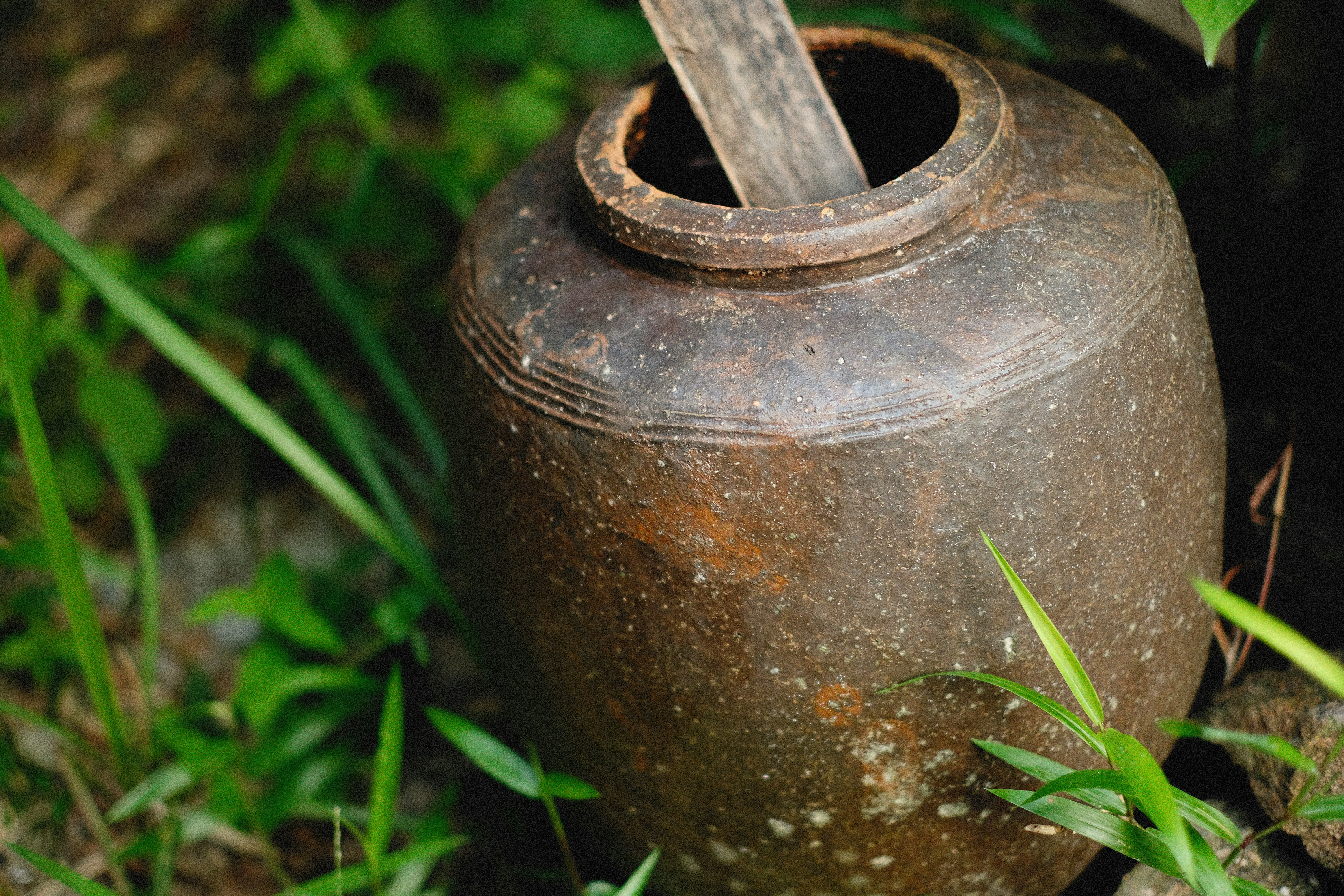 Photo by alexeydemidov