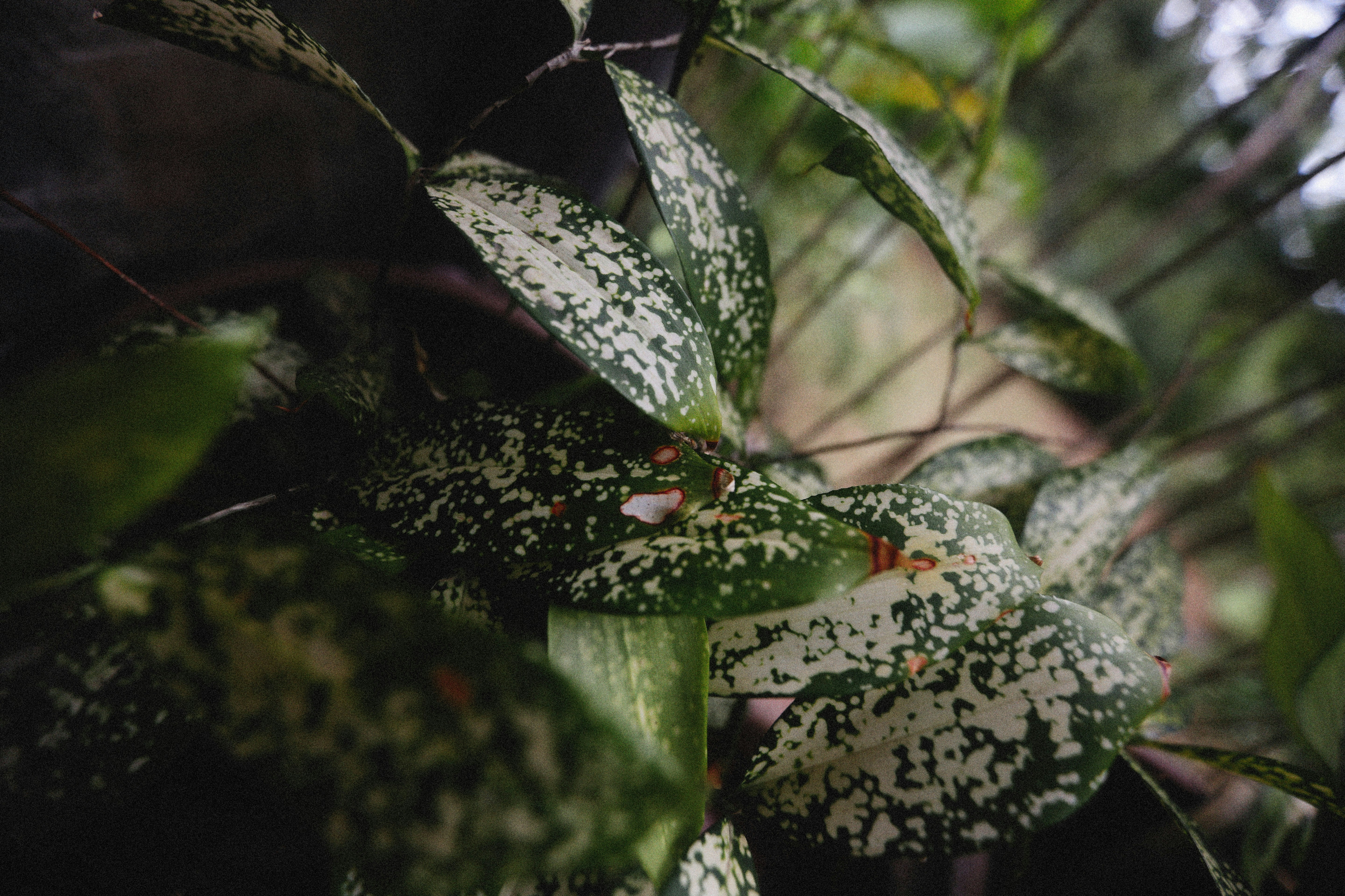 Photo by alexeydemidov