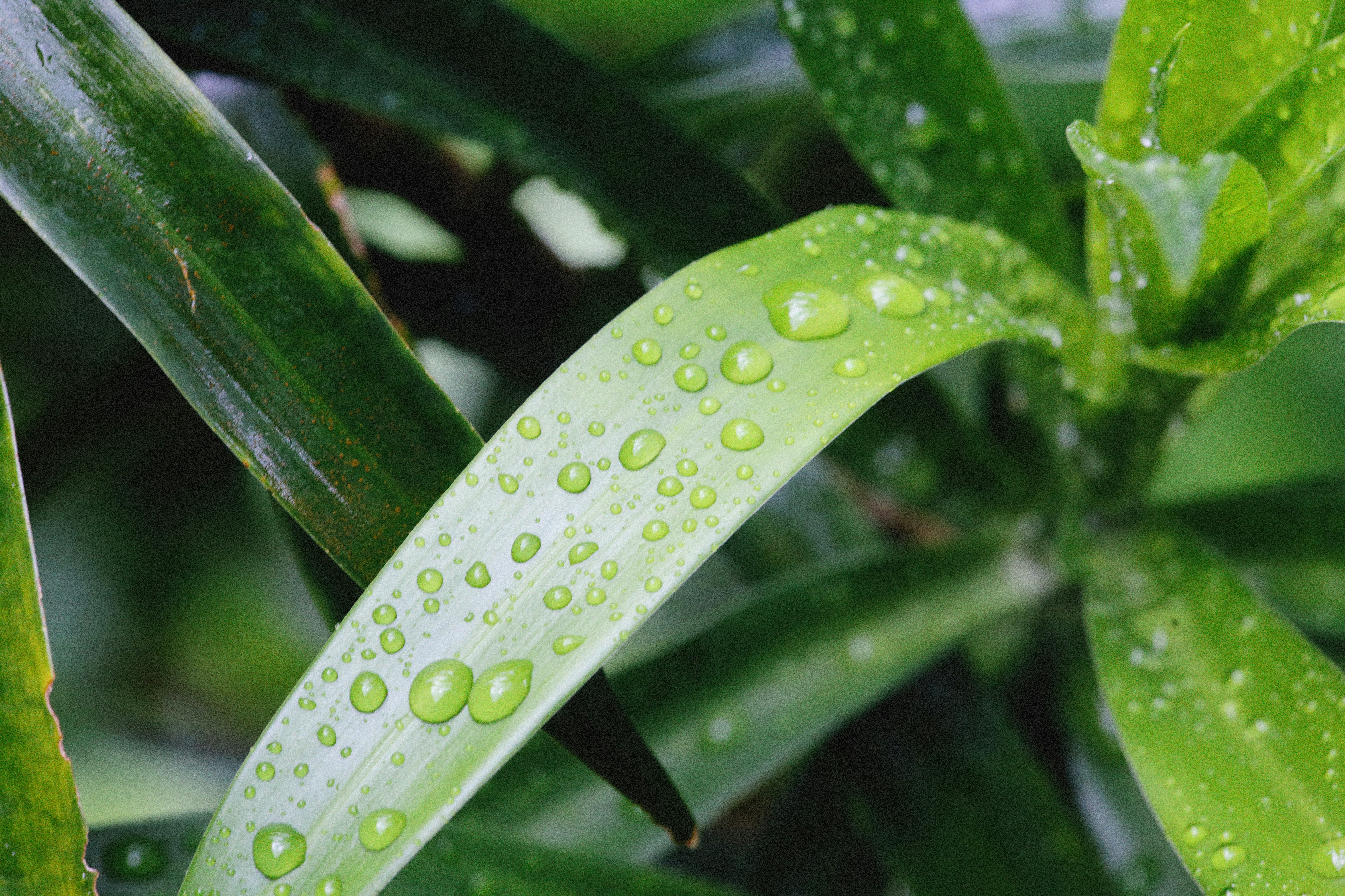 Photo by alexeydemidov