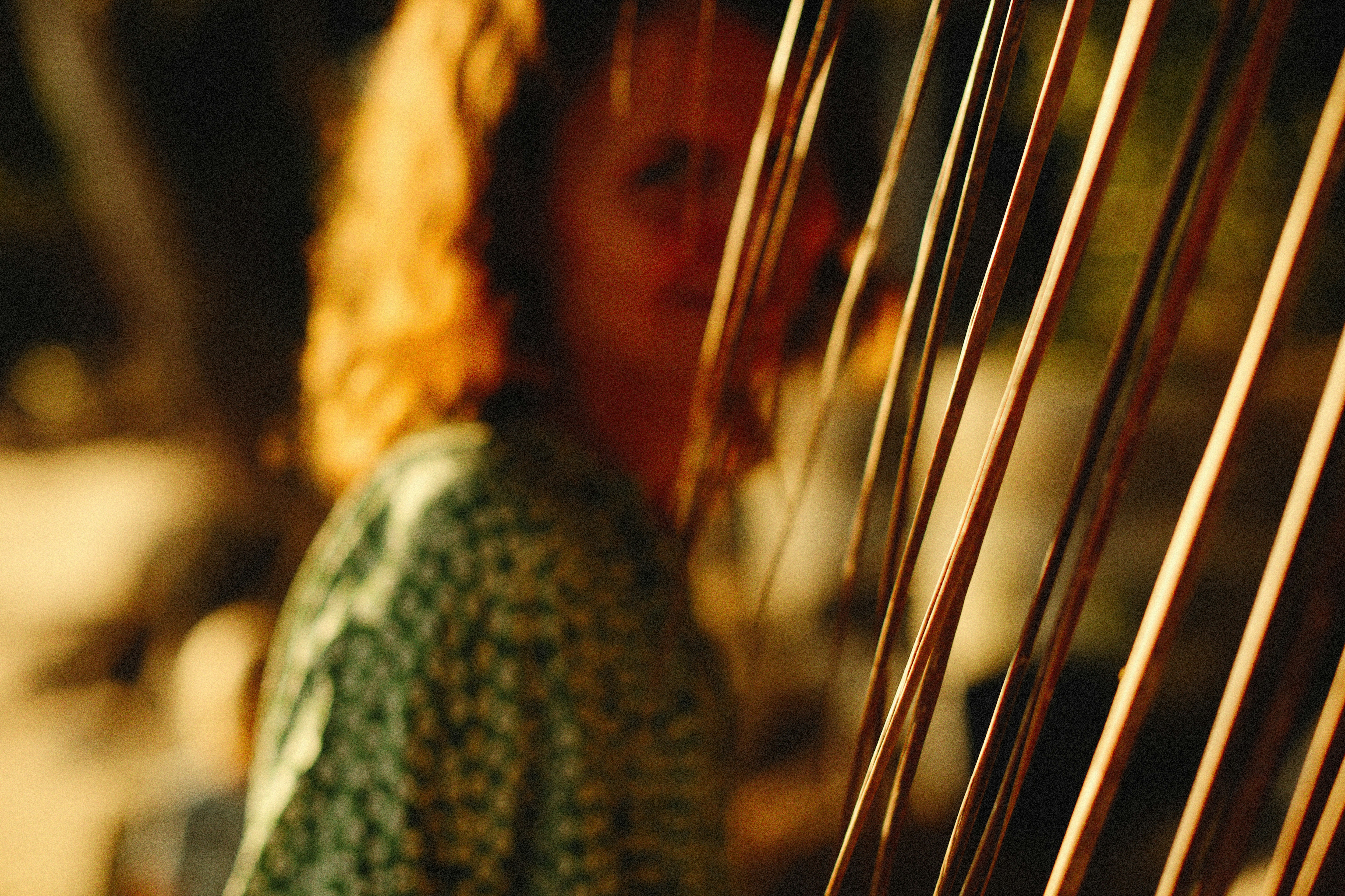 a close up of a person's face in a basket