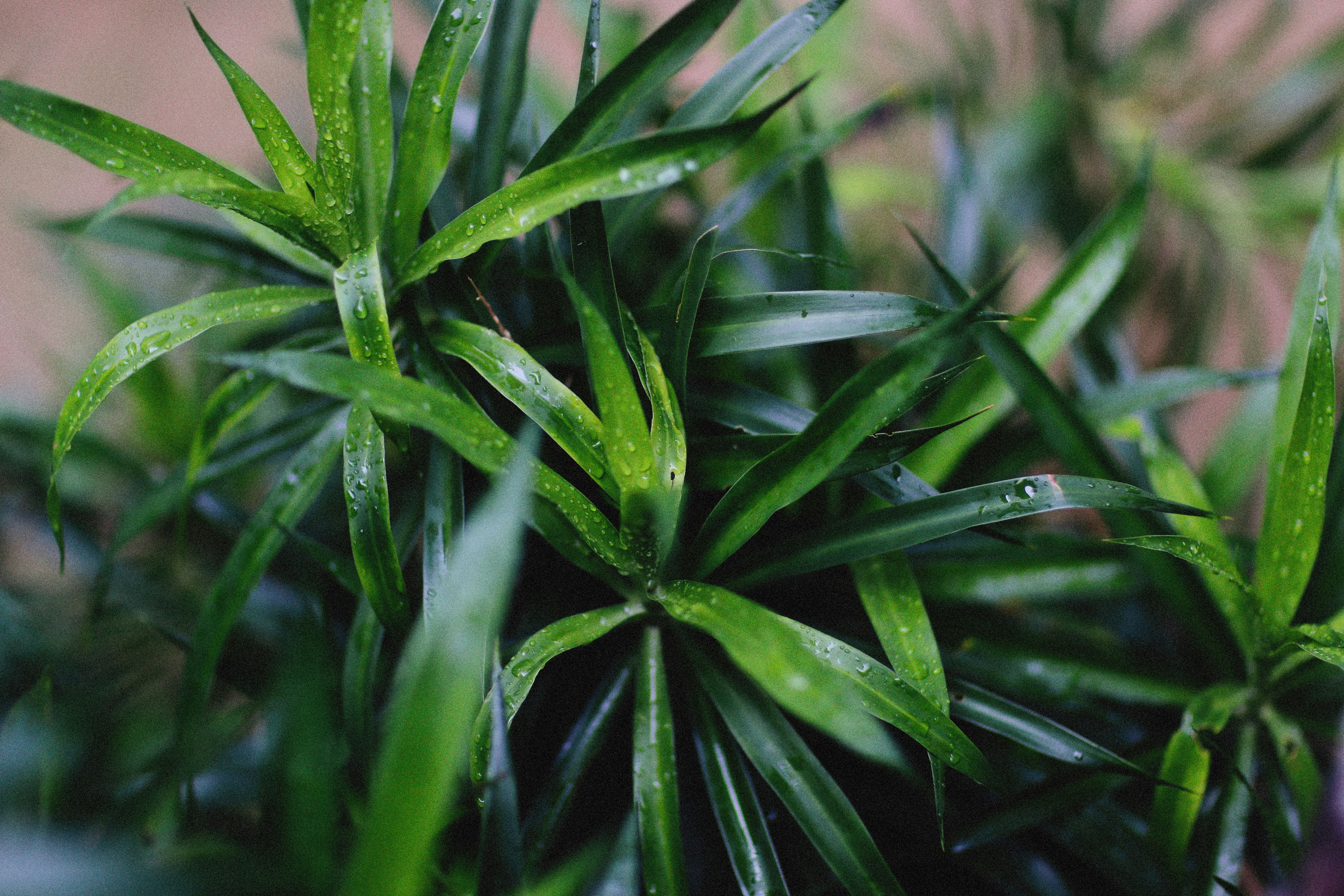 Photo by alexeydemidov