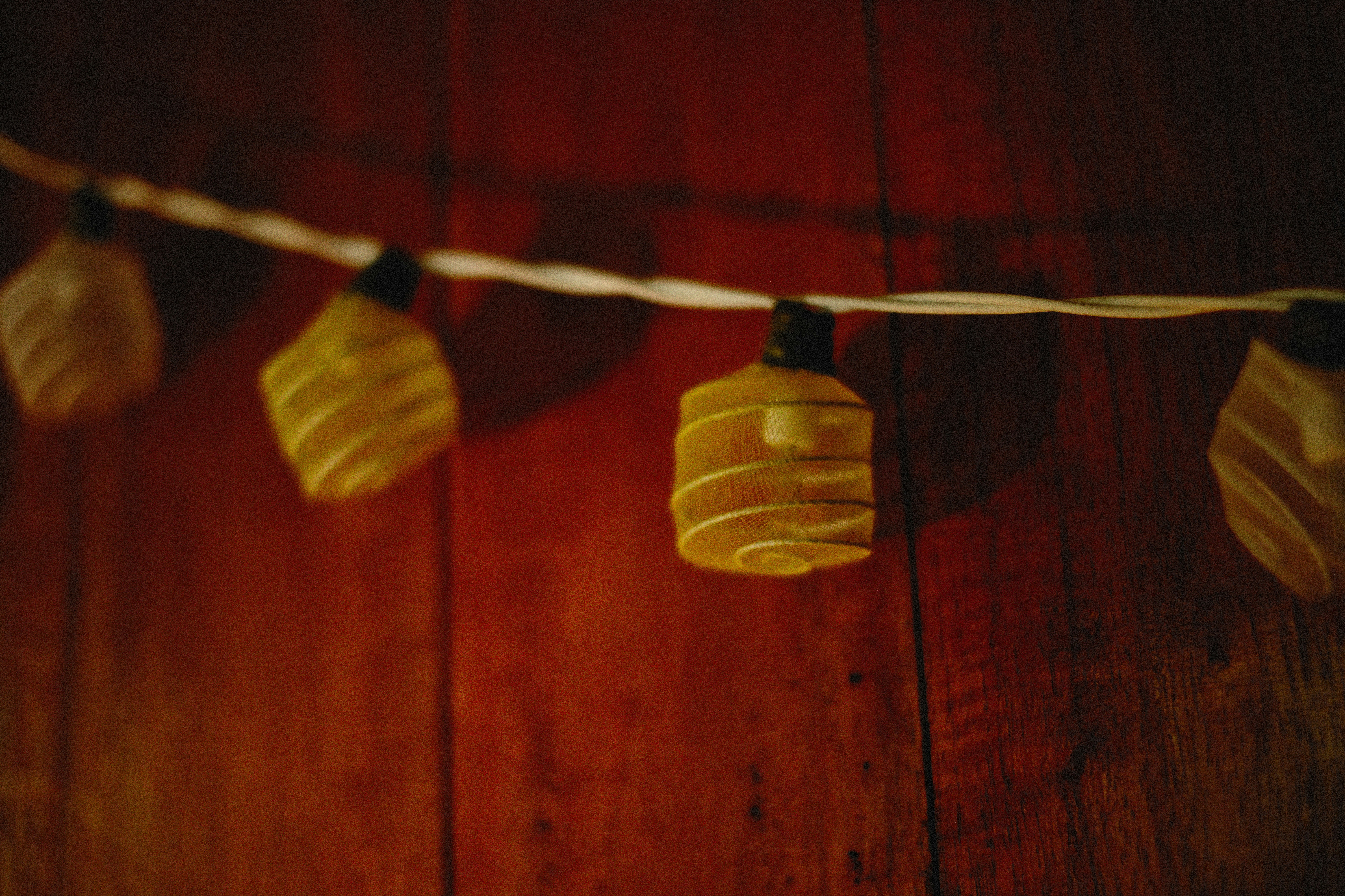 Photo by alexeydemidov