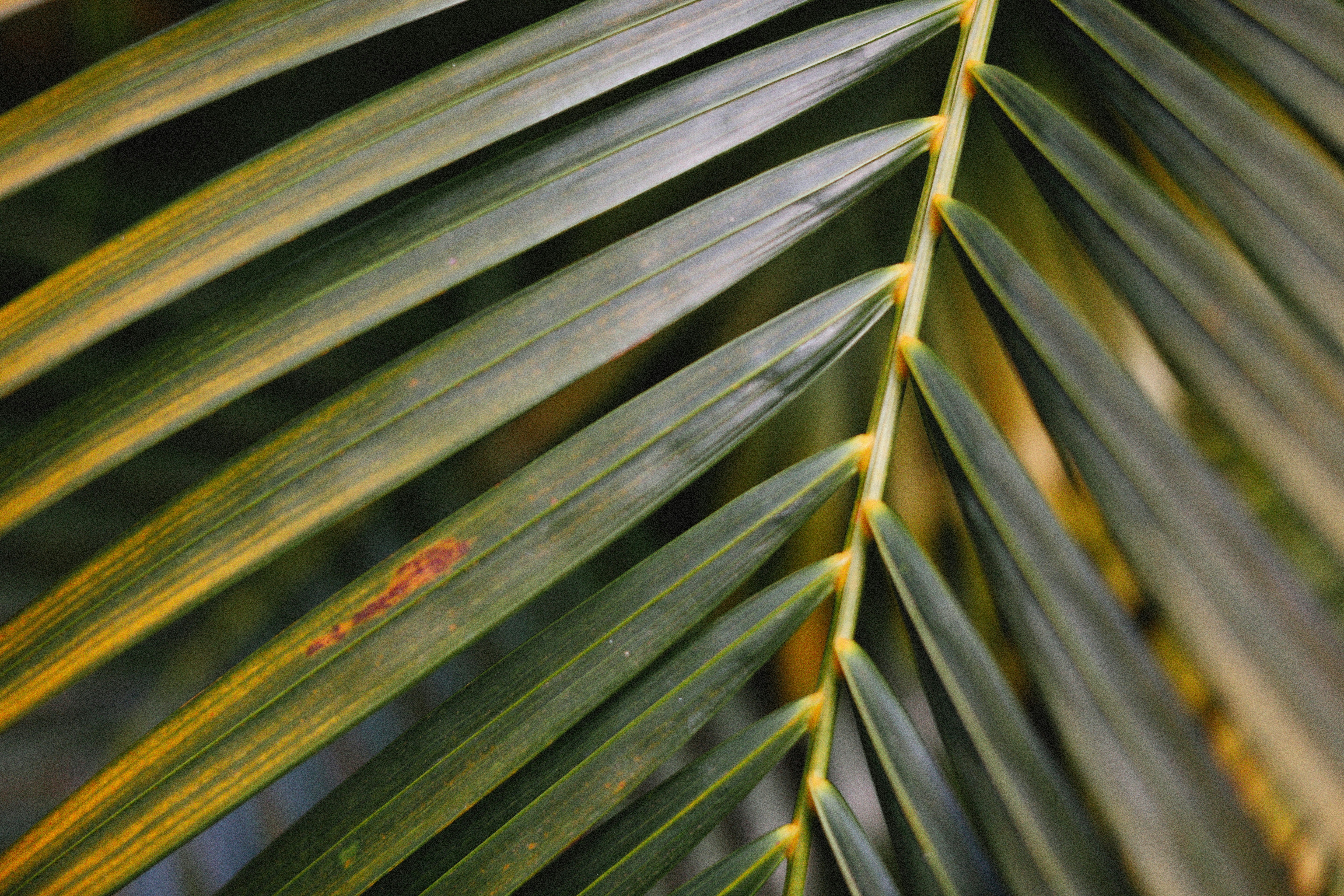 Photo by alexeydemidov