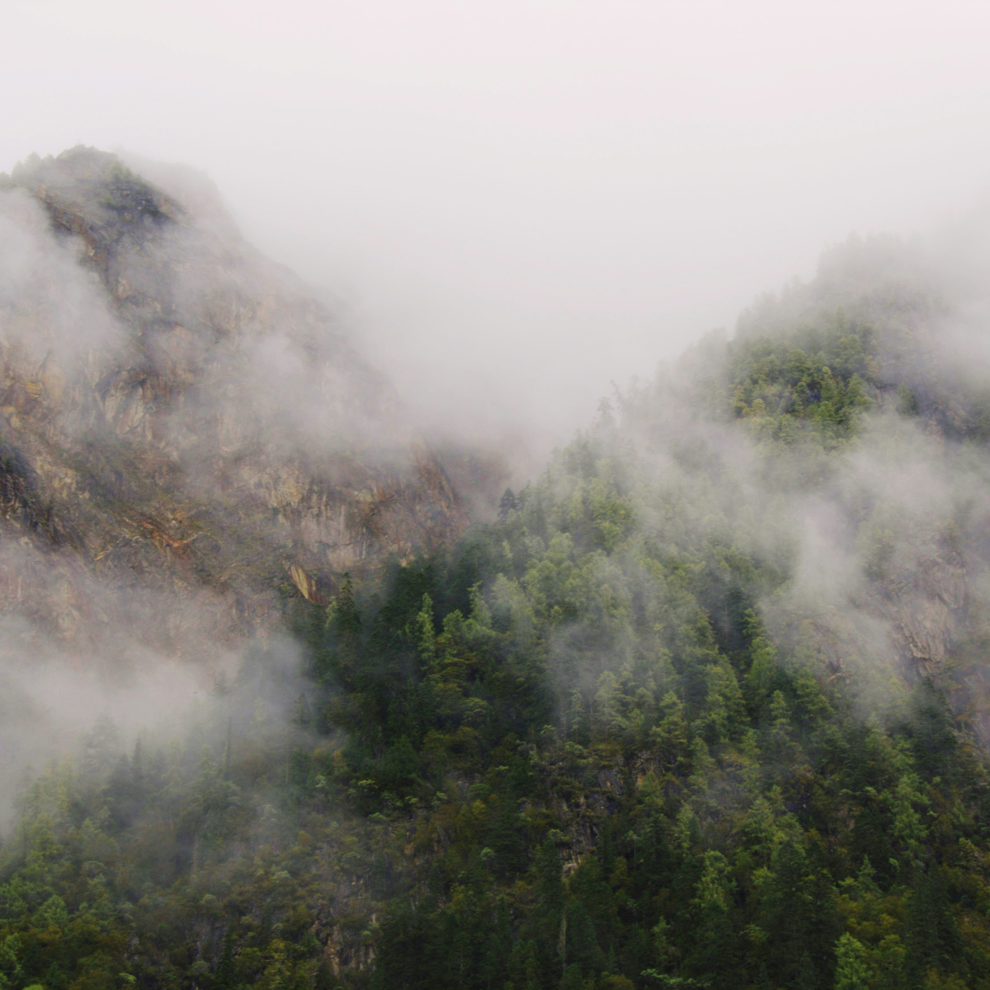 Photo by blank_weiss