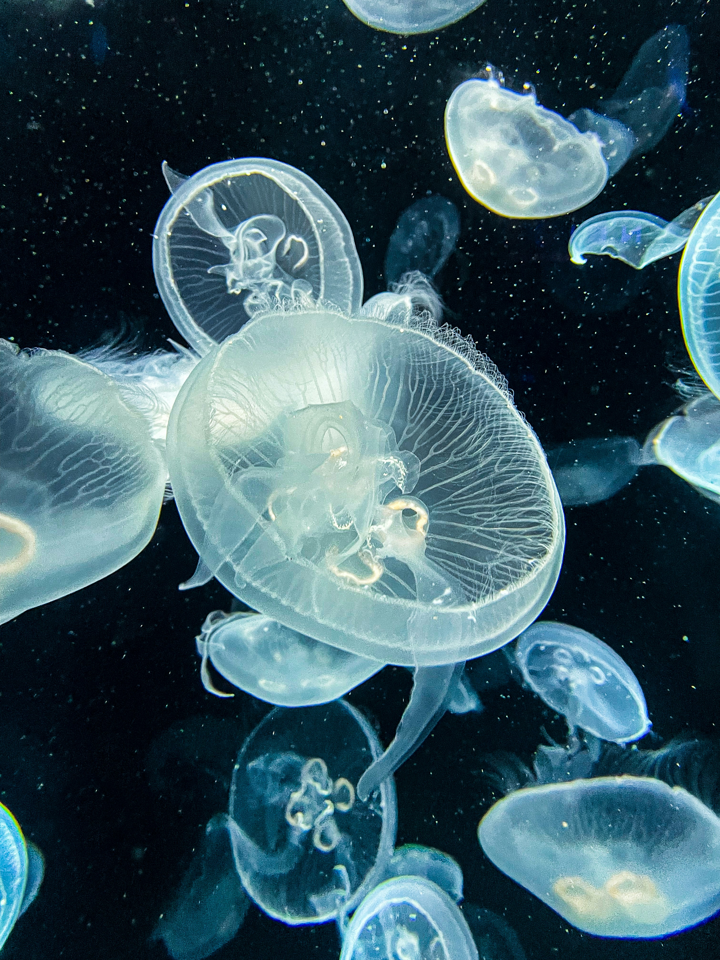 Photo by chrishardyphotography