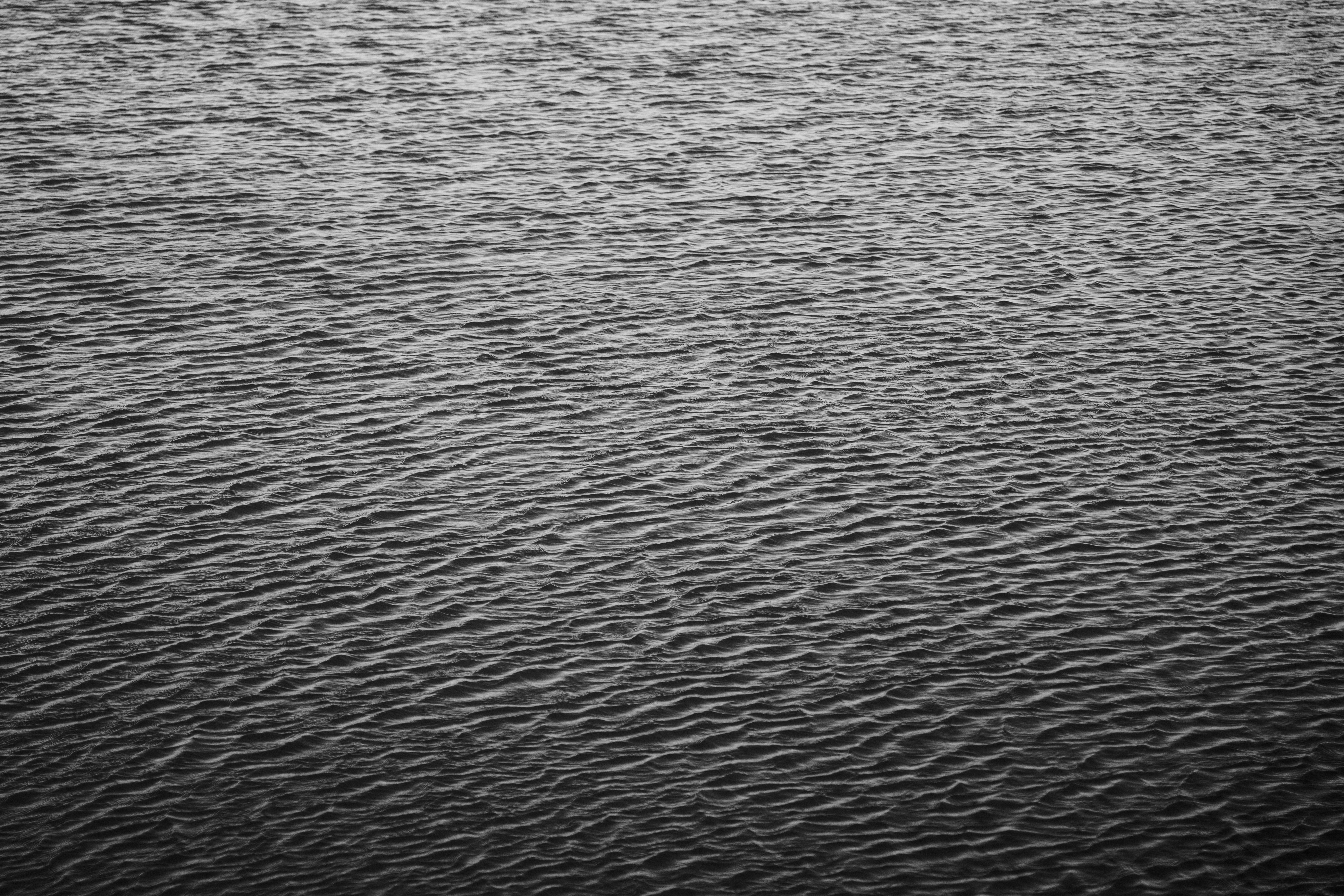 Photo by brotakesphotos