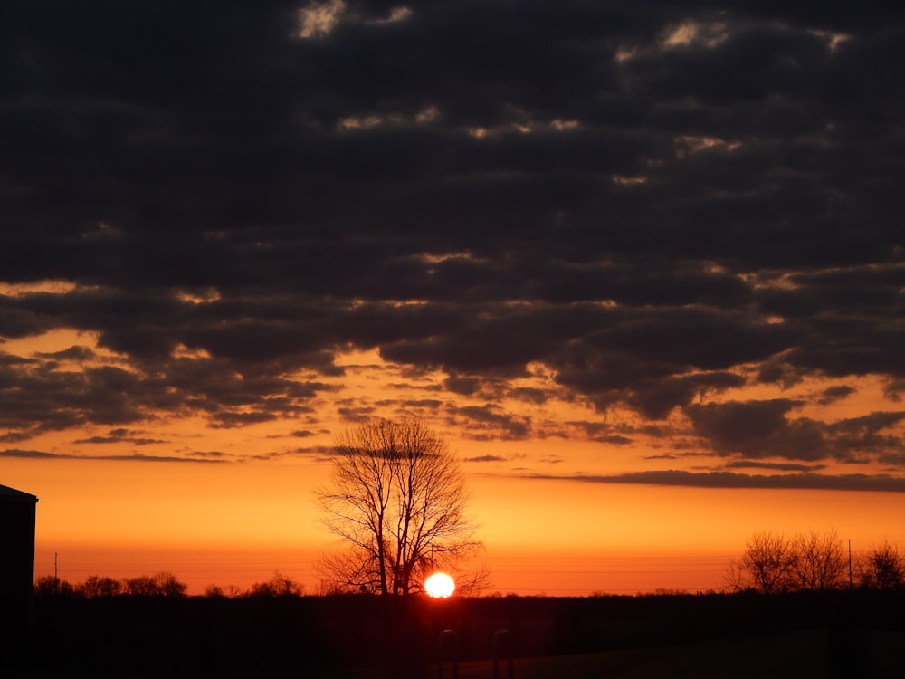 Una puesta de sol con árboles