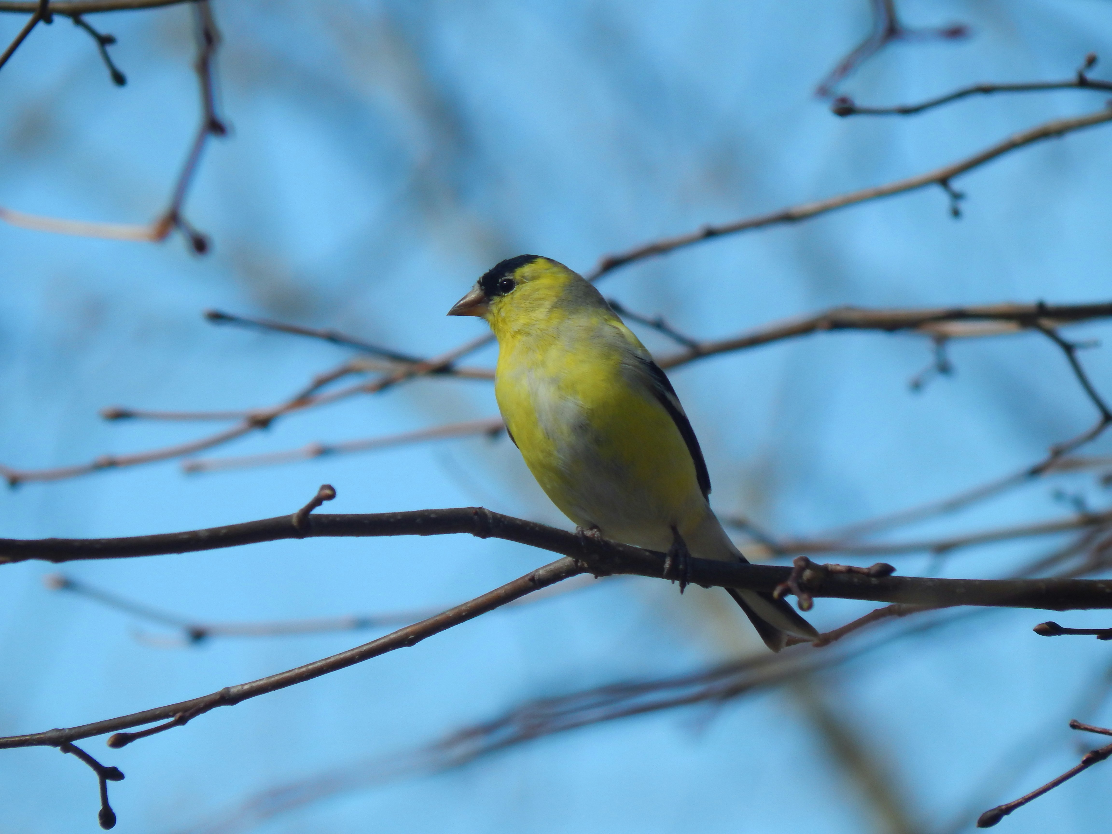 Photo by scarlettweiss