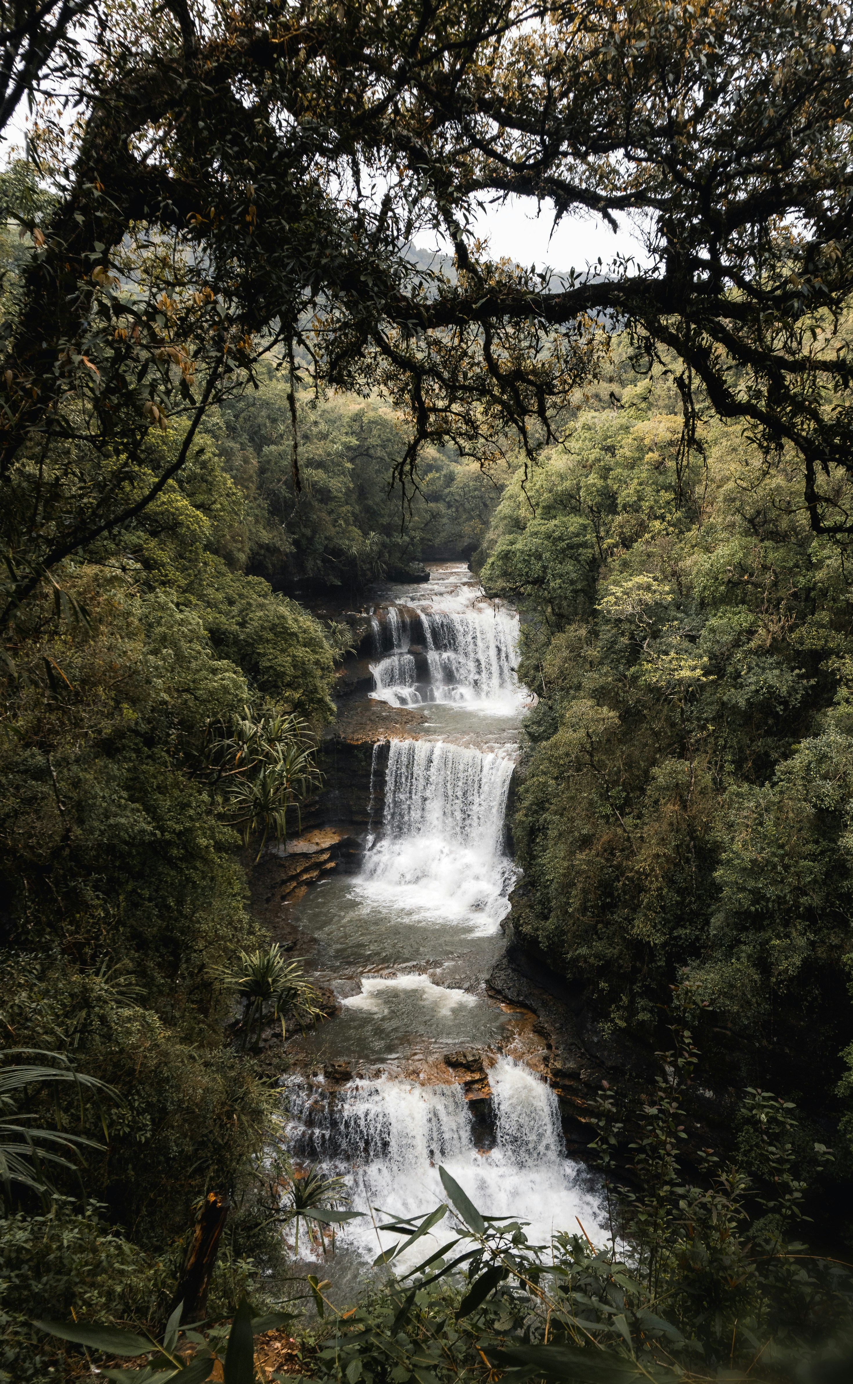a waterfall in a forest