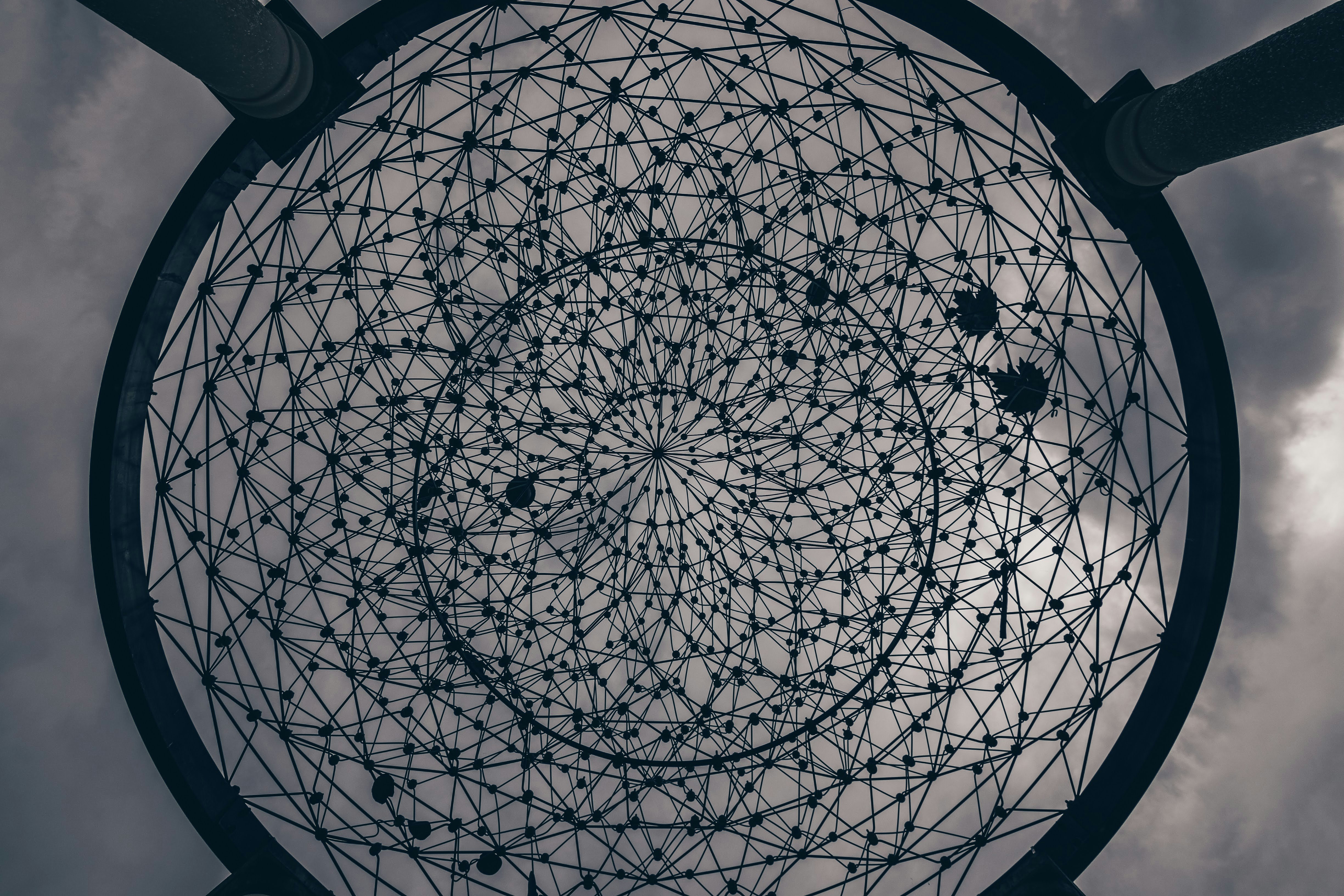 Photo by brice_cooper18