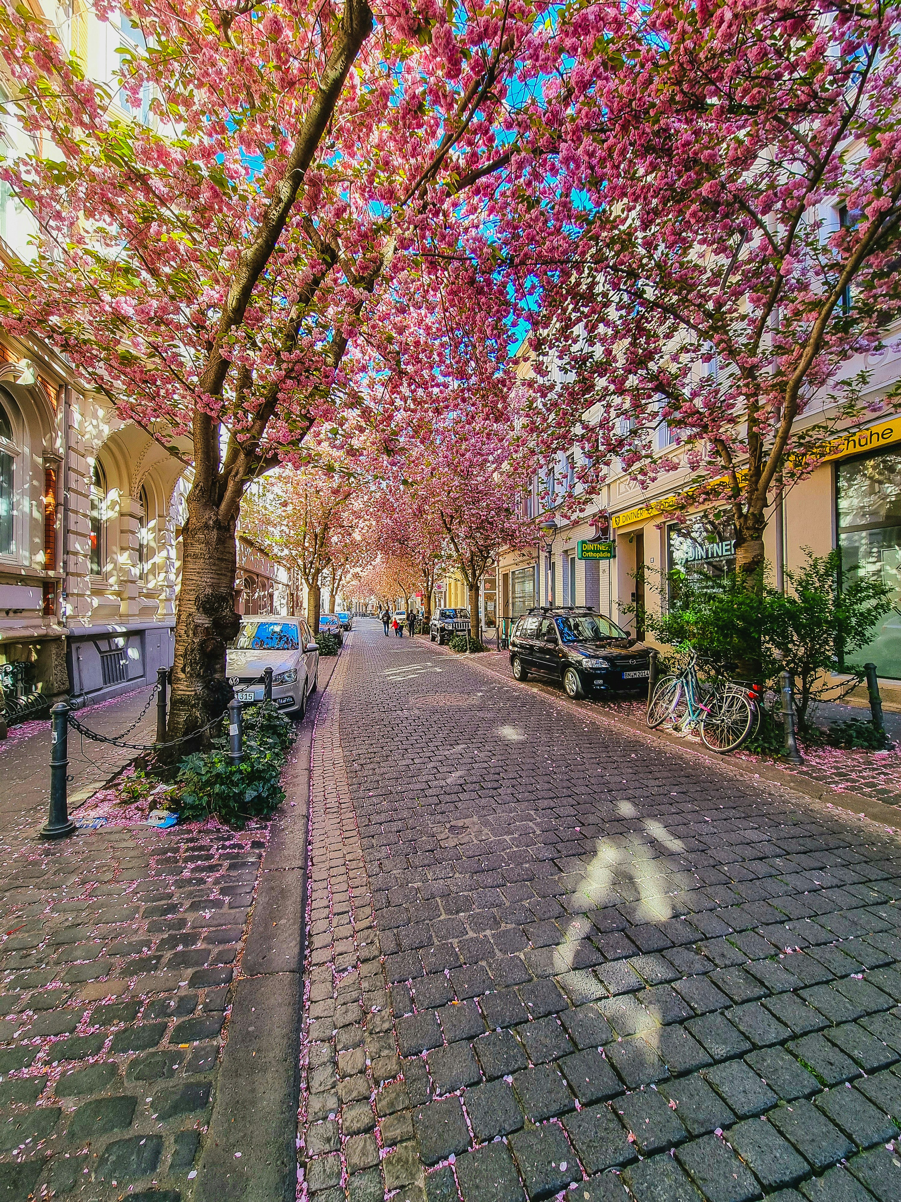 Photo by tharunthejusjp