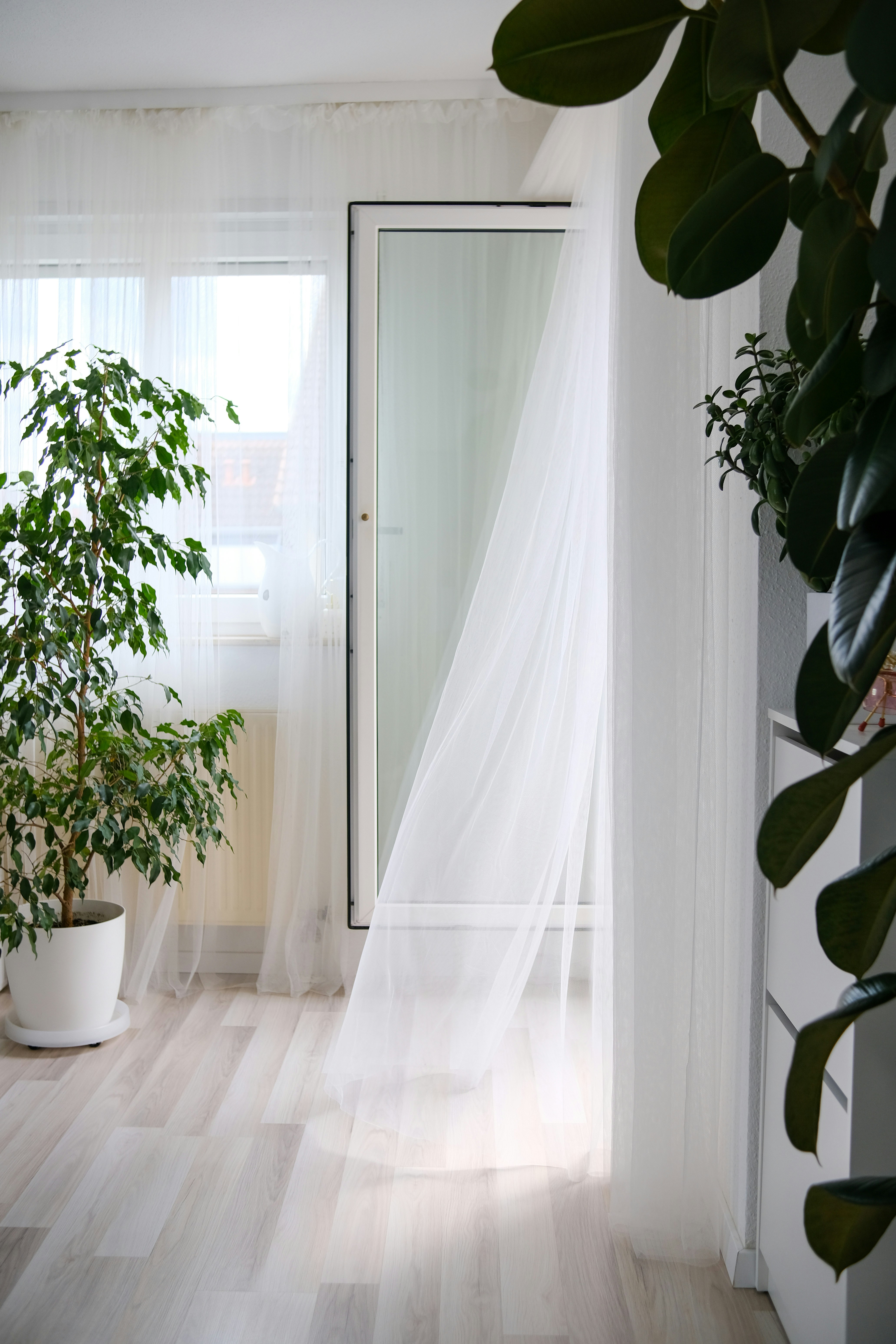 Photo by juliablumberg