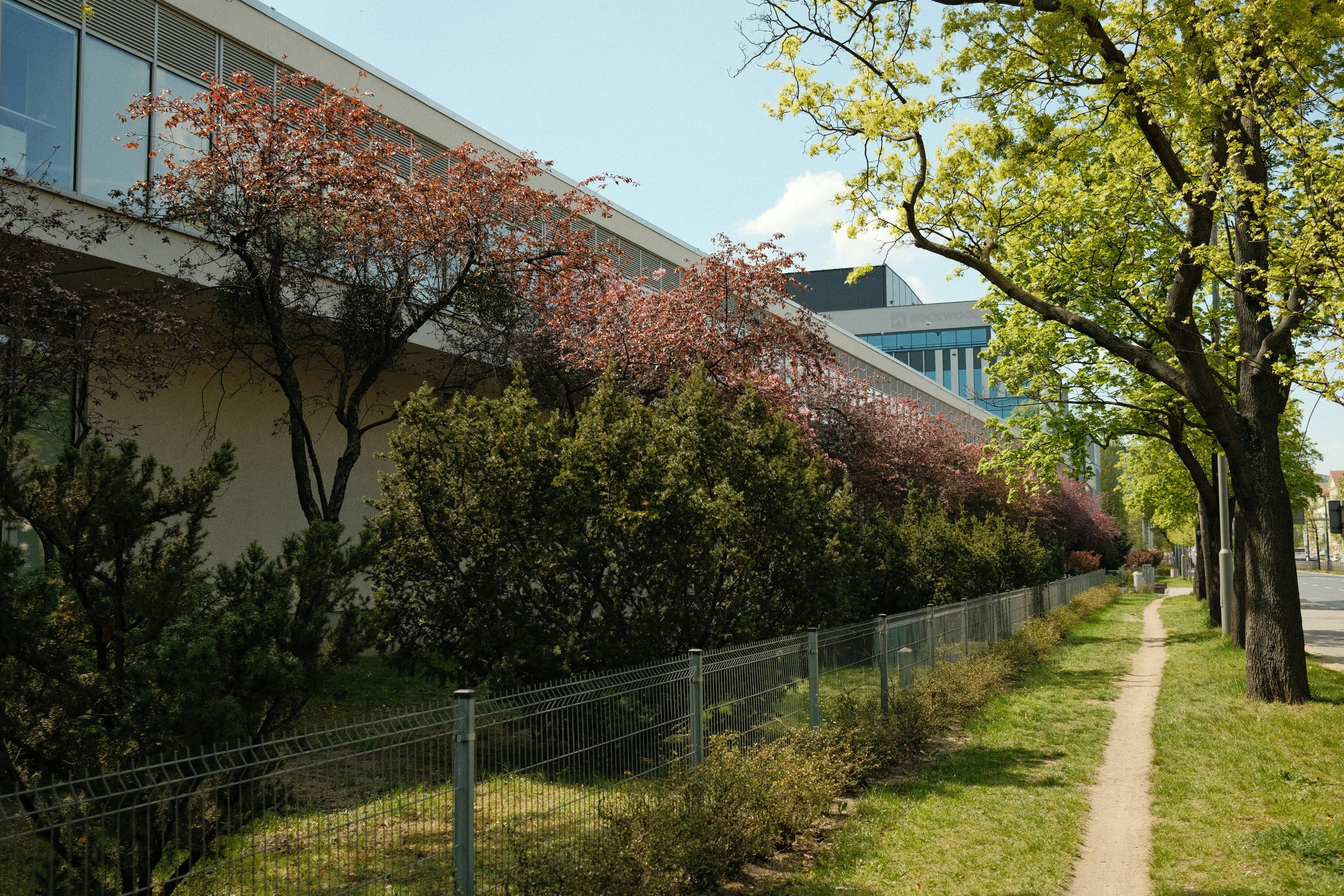 Photo by egorkomarov