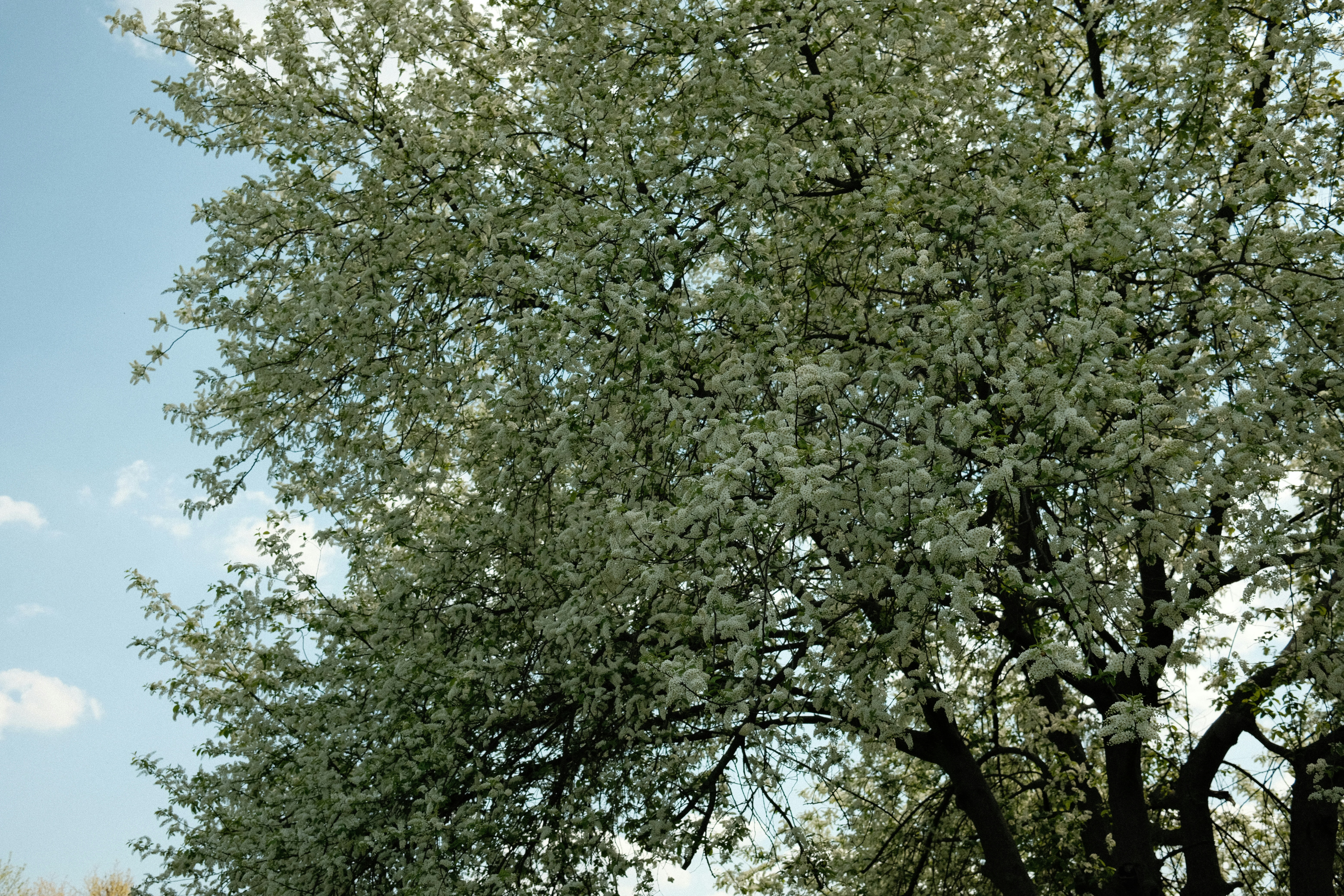 Photo by egorkomarov