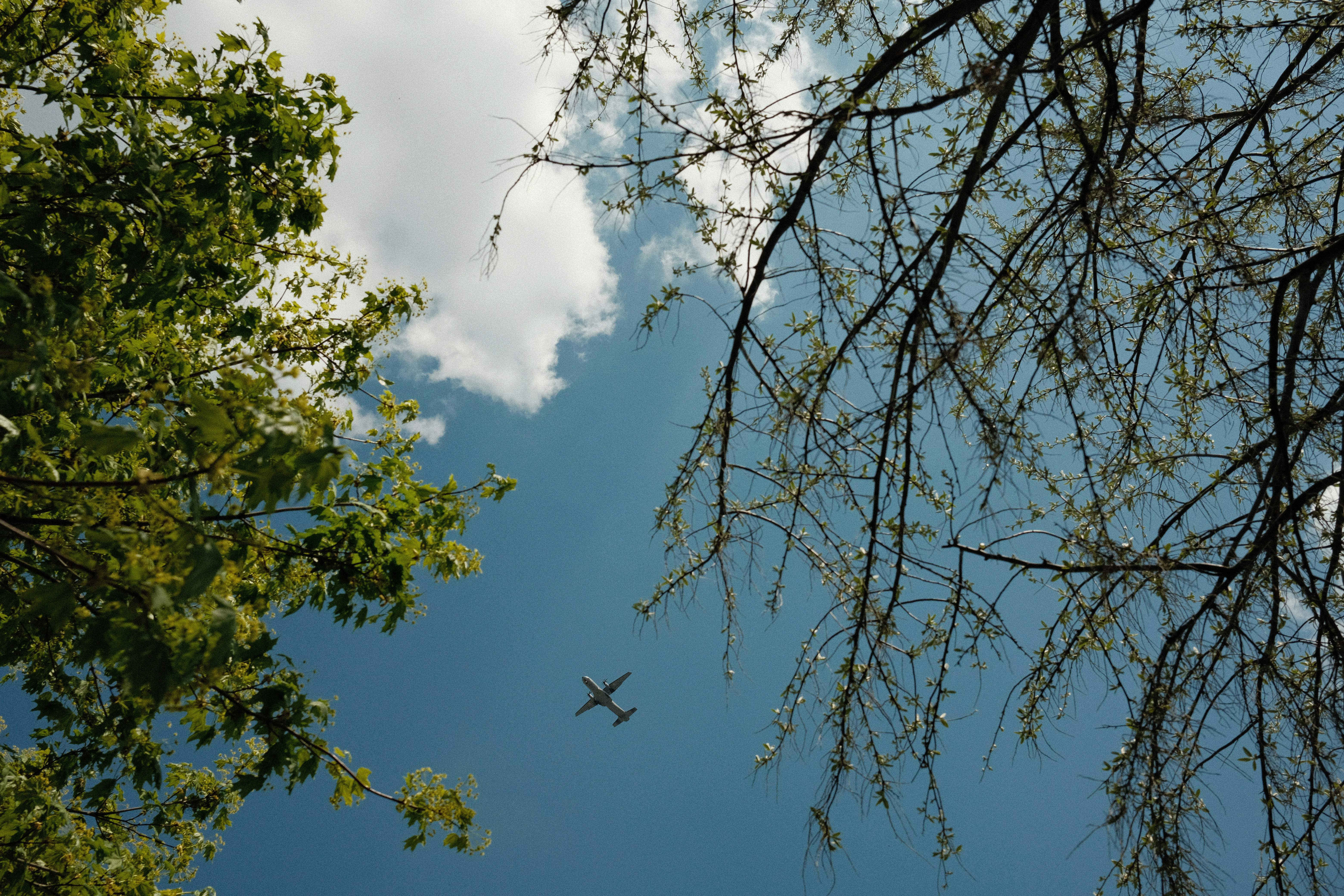 My Mission Trip To Singapore & Indonesia