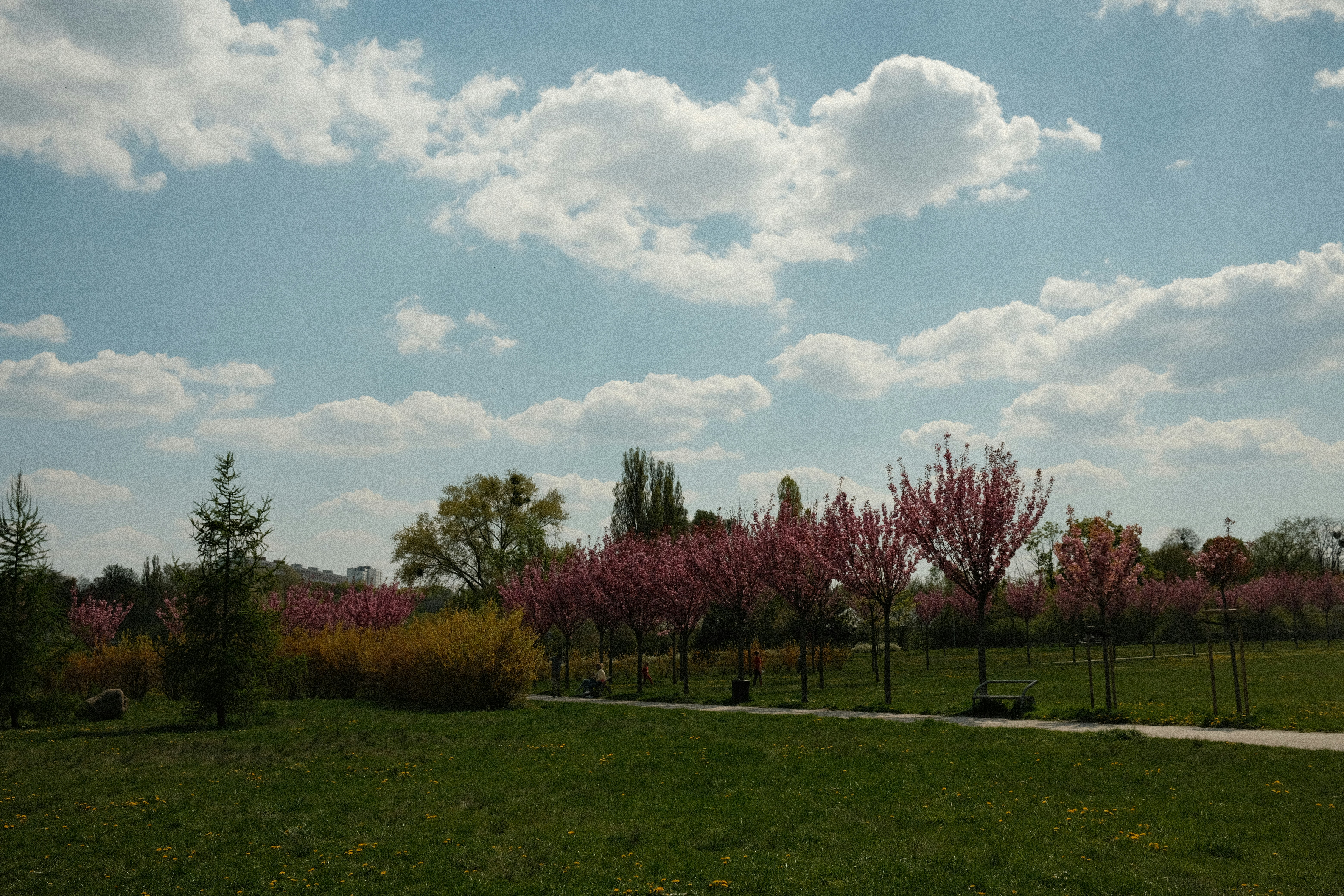 North Peach Park