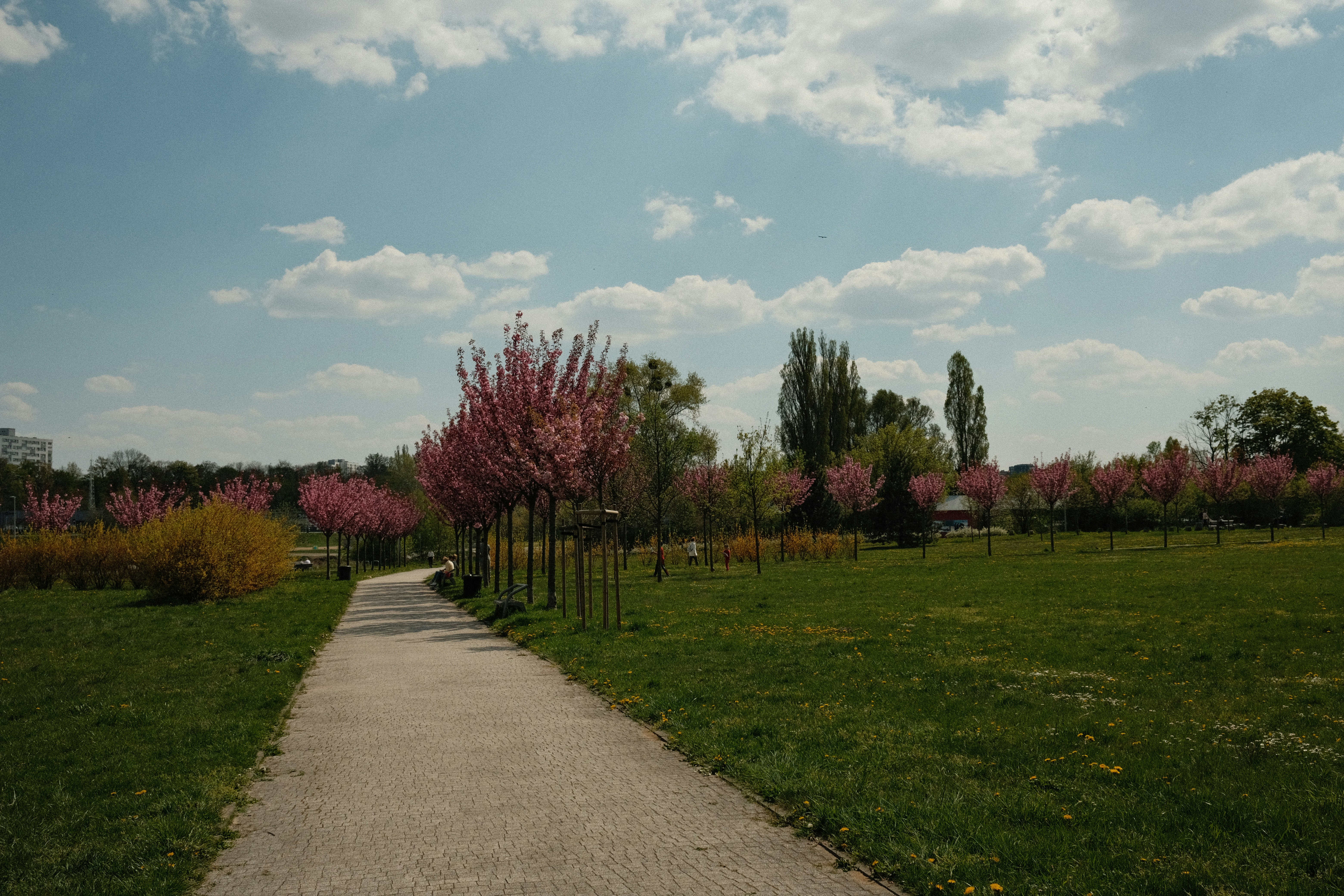 Photo by egorkomarov