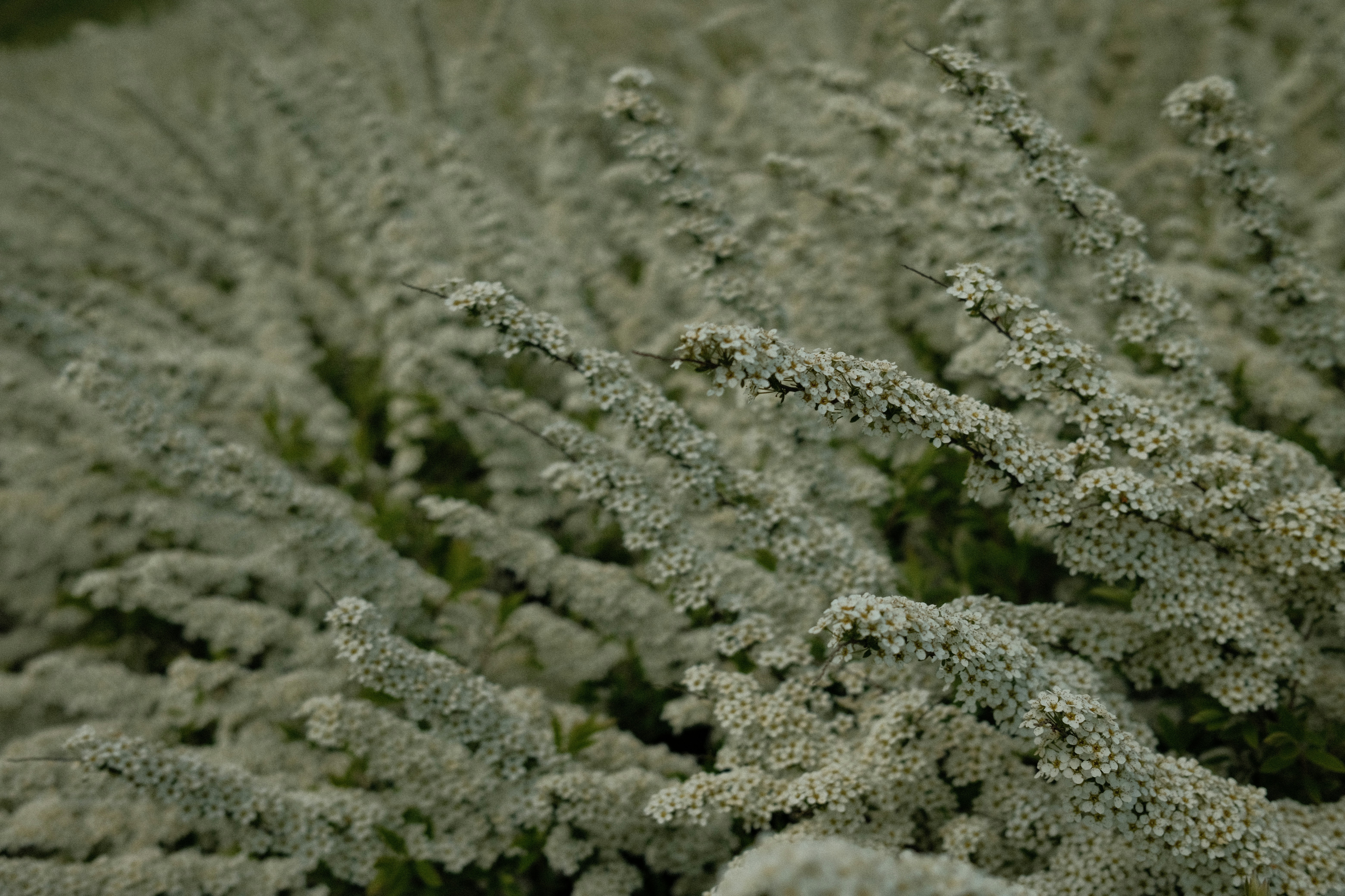 photo-1651410395580-1df450fb8c77?ixid=M3wxMjA3fDB8MXxzZWFyY2h8N3x8JURBJUE5JUQ4JUE3JUQ4JUI0JUQ4JUFBJTIwJUQ4JUE3JUQ4JUE4JUQ4JUIxJUQ5JTg4JTIwJUQ4JUFGJUQ4JUIxJTIwJURBJUE5JUQ4JUIxJUQ4JUFDfGVufDB8fHx8MTc2MzAzNTY2N3ww\u0026ixlib=rb-4.1.0