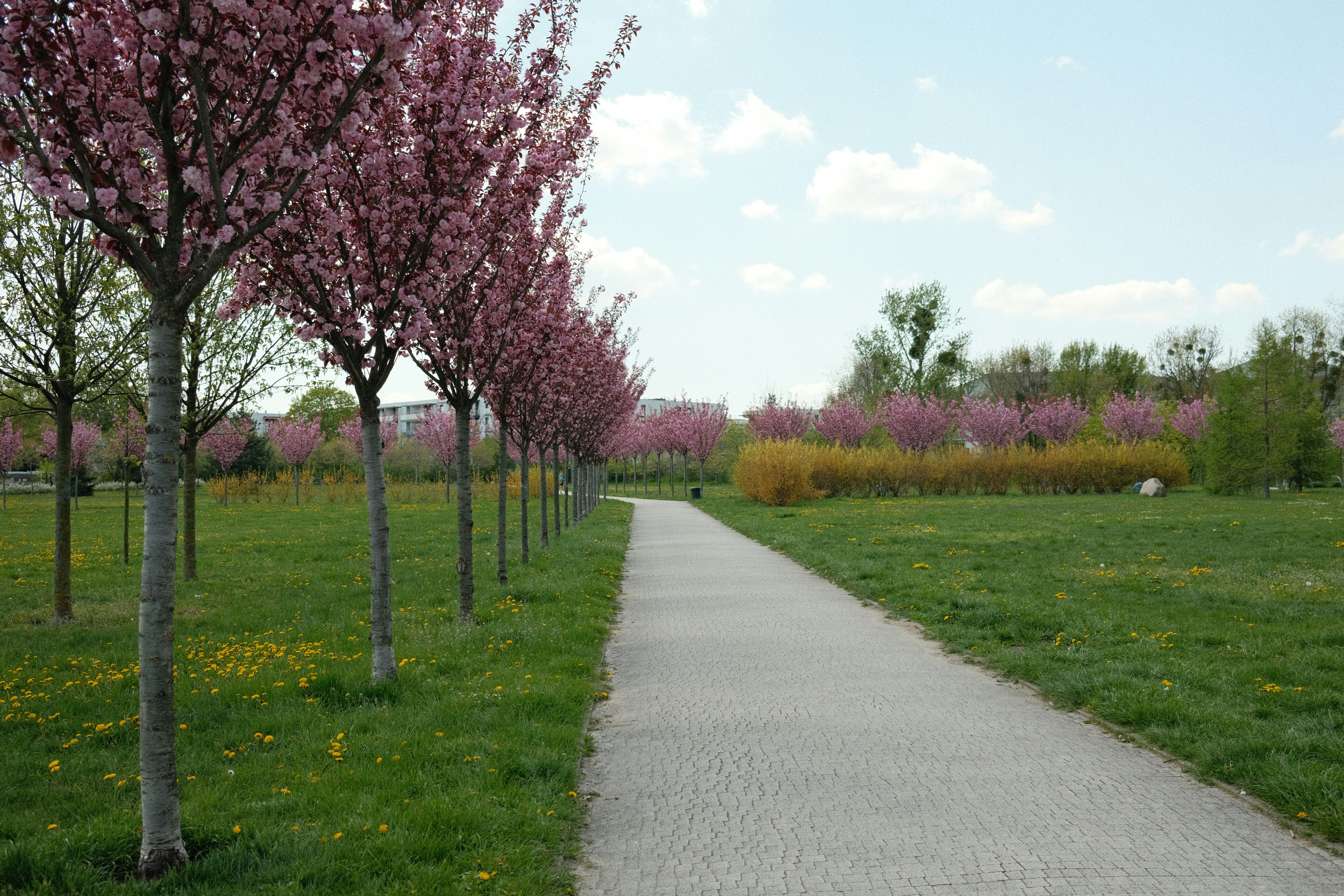 Photo by egorkomarov