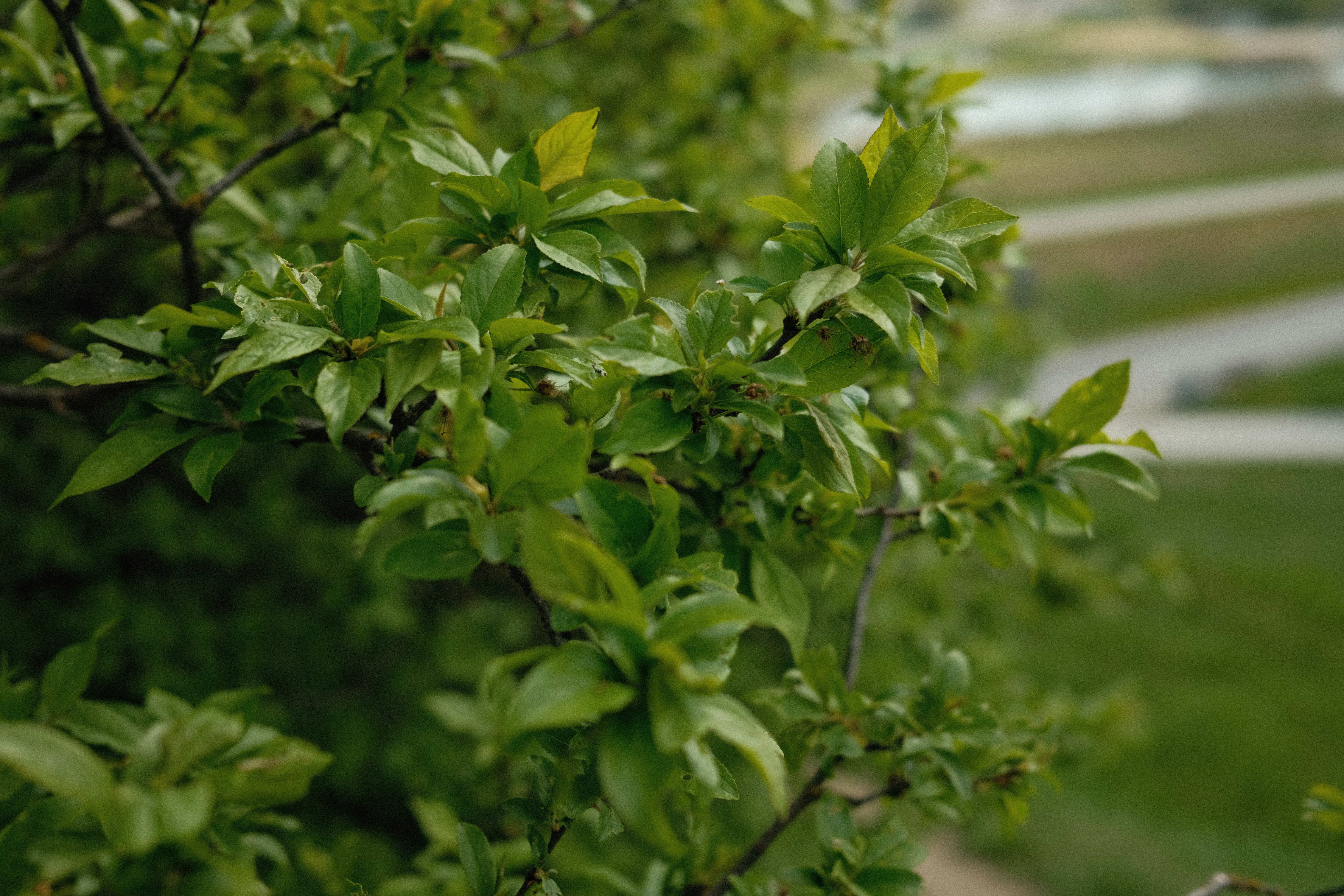 Photo by egorkomarov