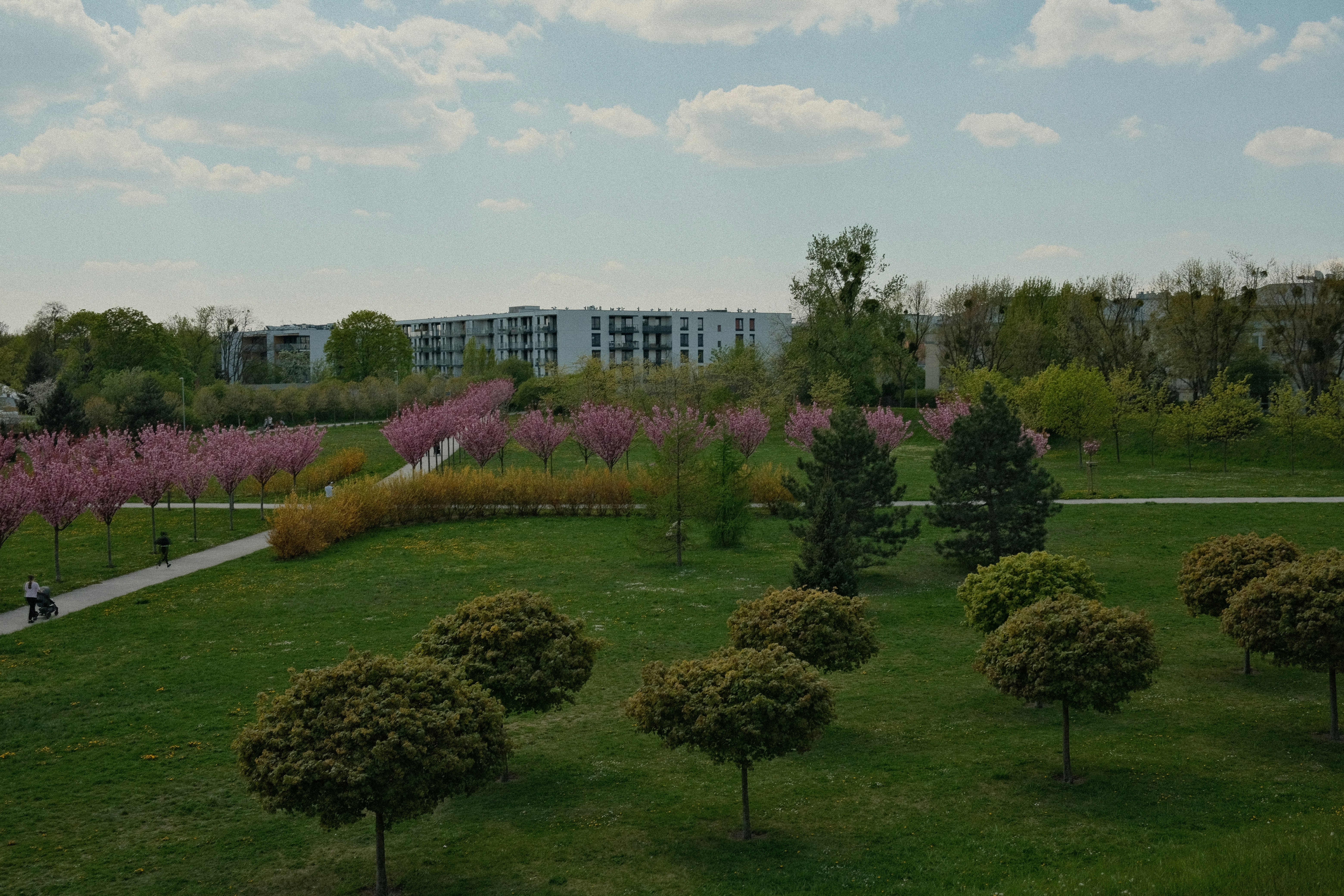 Photo by egorkomarov