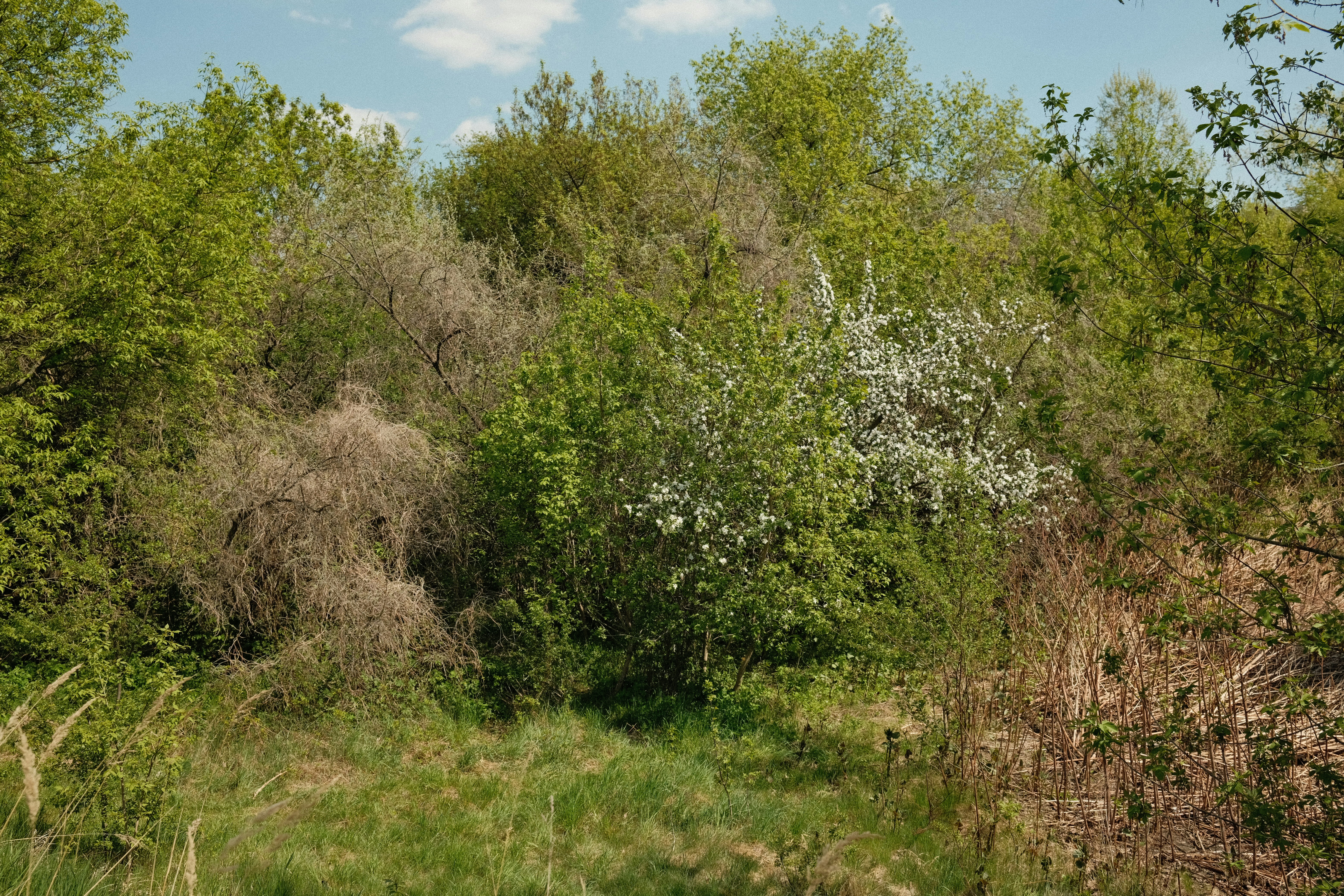 Photo by egorkomarov