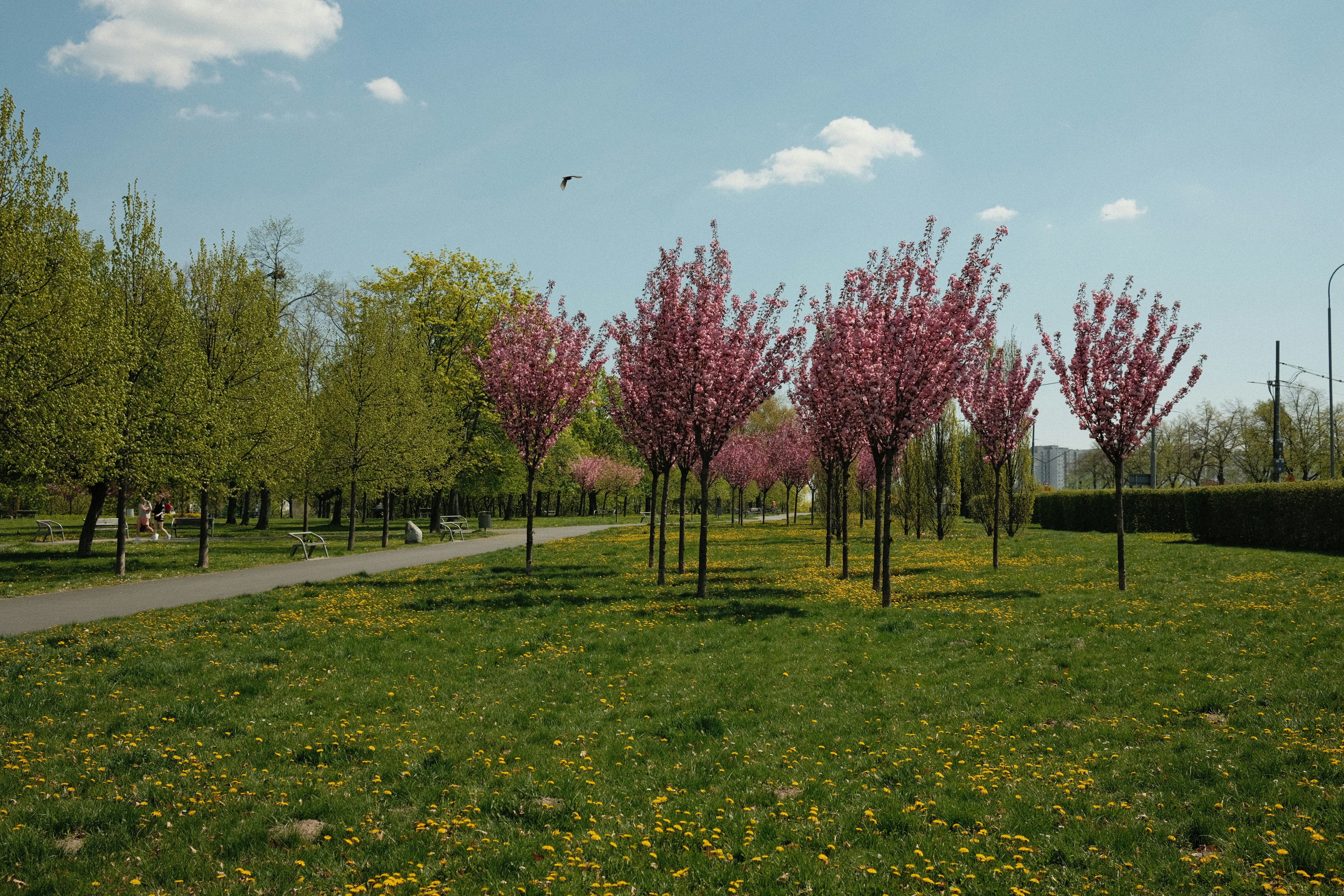 Photo by egorkomarov