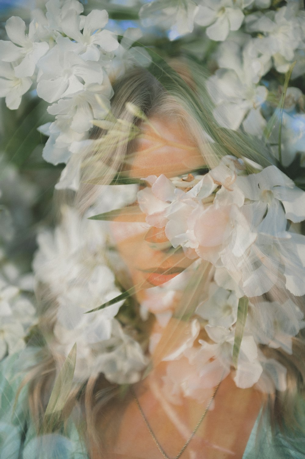 a close up of flowers