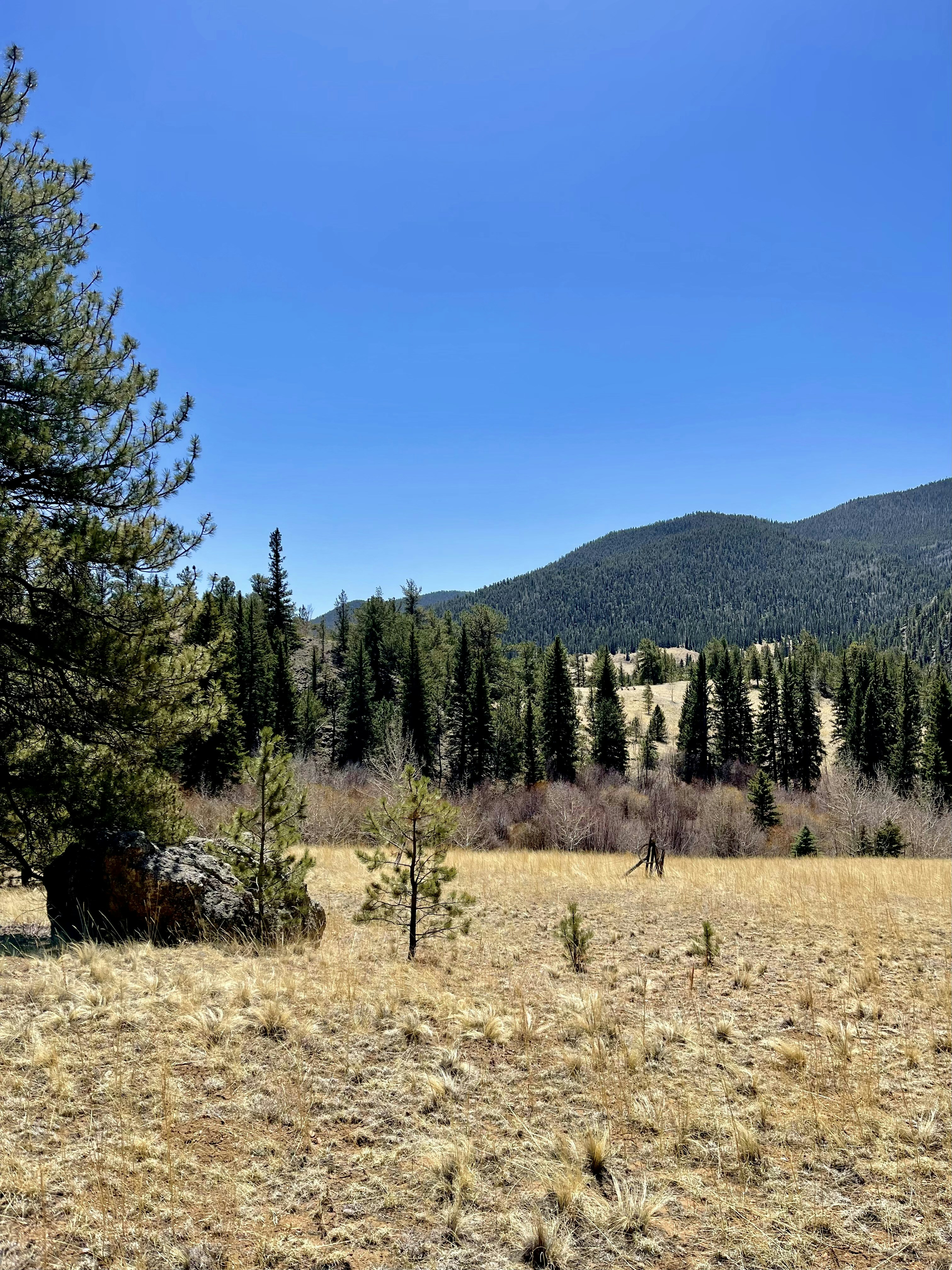 Photo by laitonbarbo