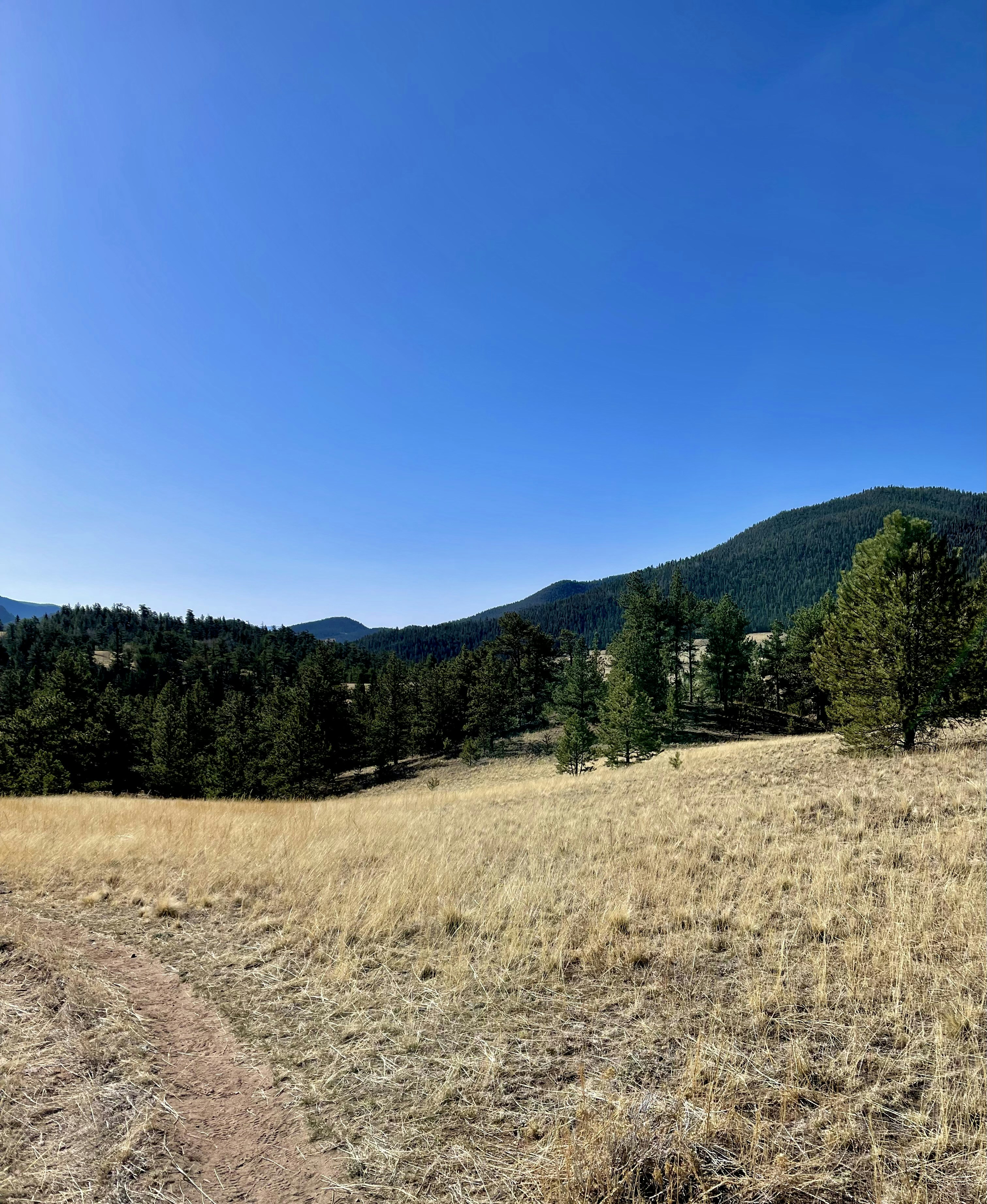 Photo by laitonbarbo