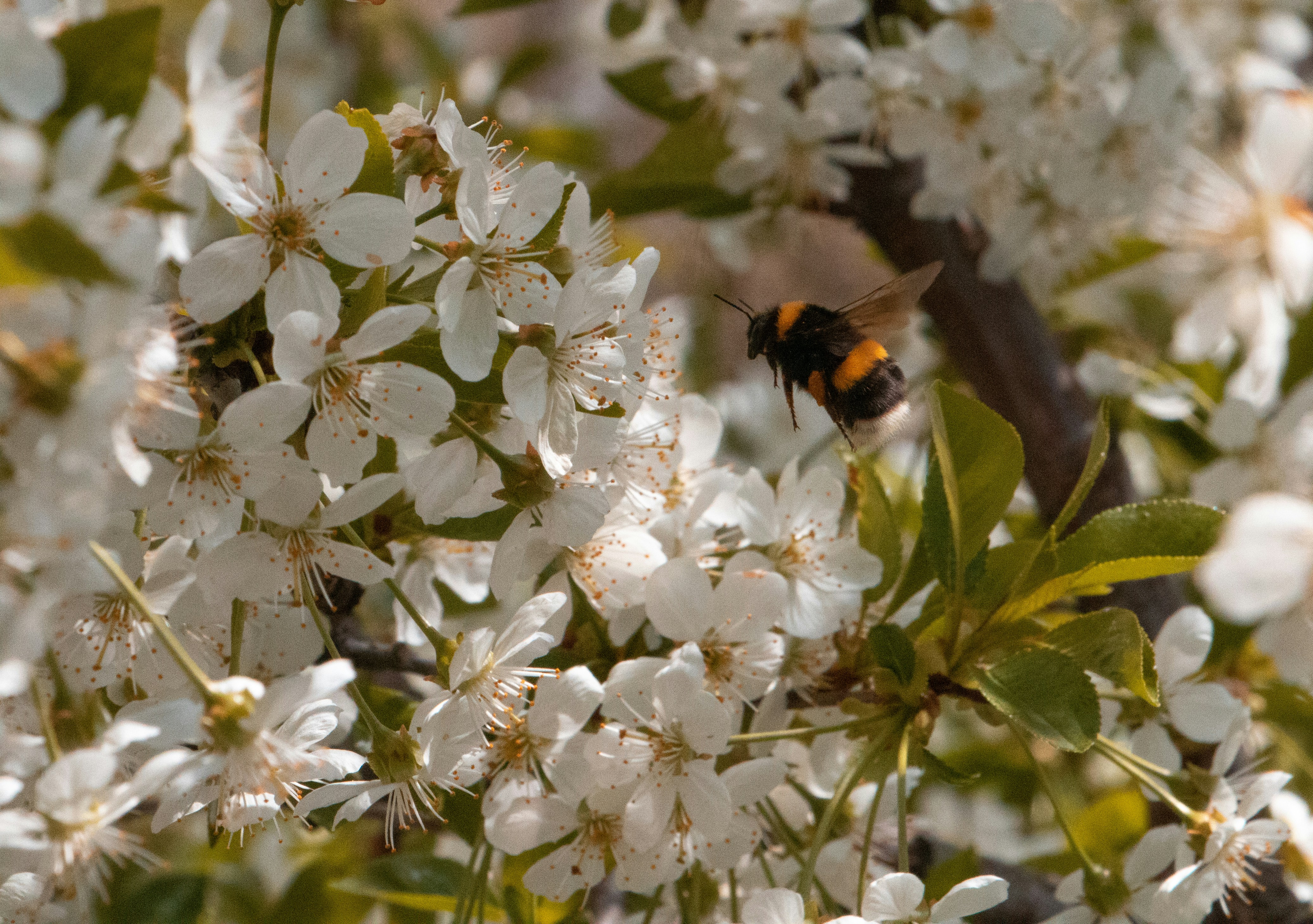 Photo by filipp_karpenko