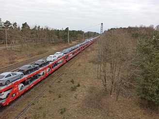 A long train is carrying multiple cars on a red car transporter along railway tracks. The scene is surrounded by leafless trees and patches of grass, with overcast skies above.