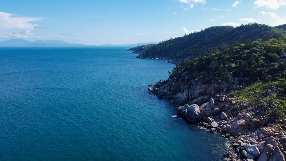 a rocky beach with trees and a body of water