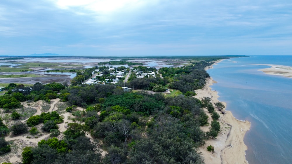 a beach with trees and water