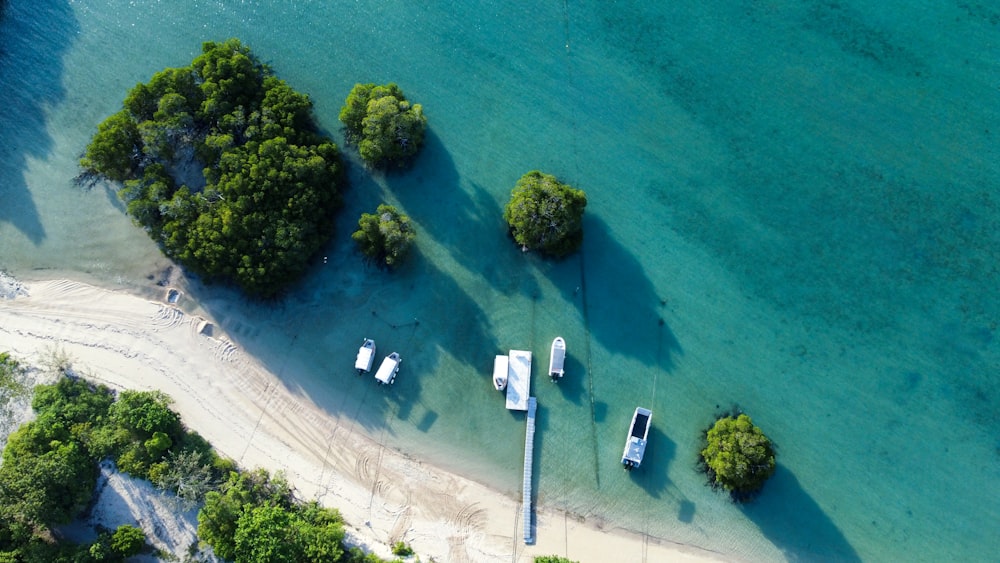 Una vista aérea de una playa y árboles