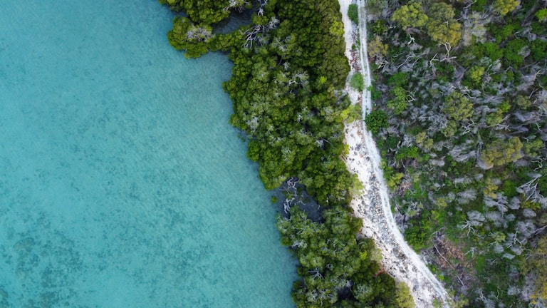 a body of water with land in the back