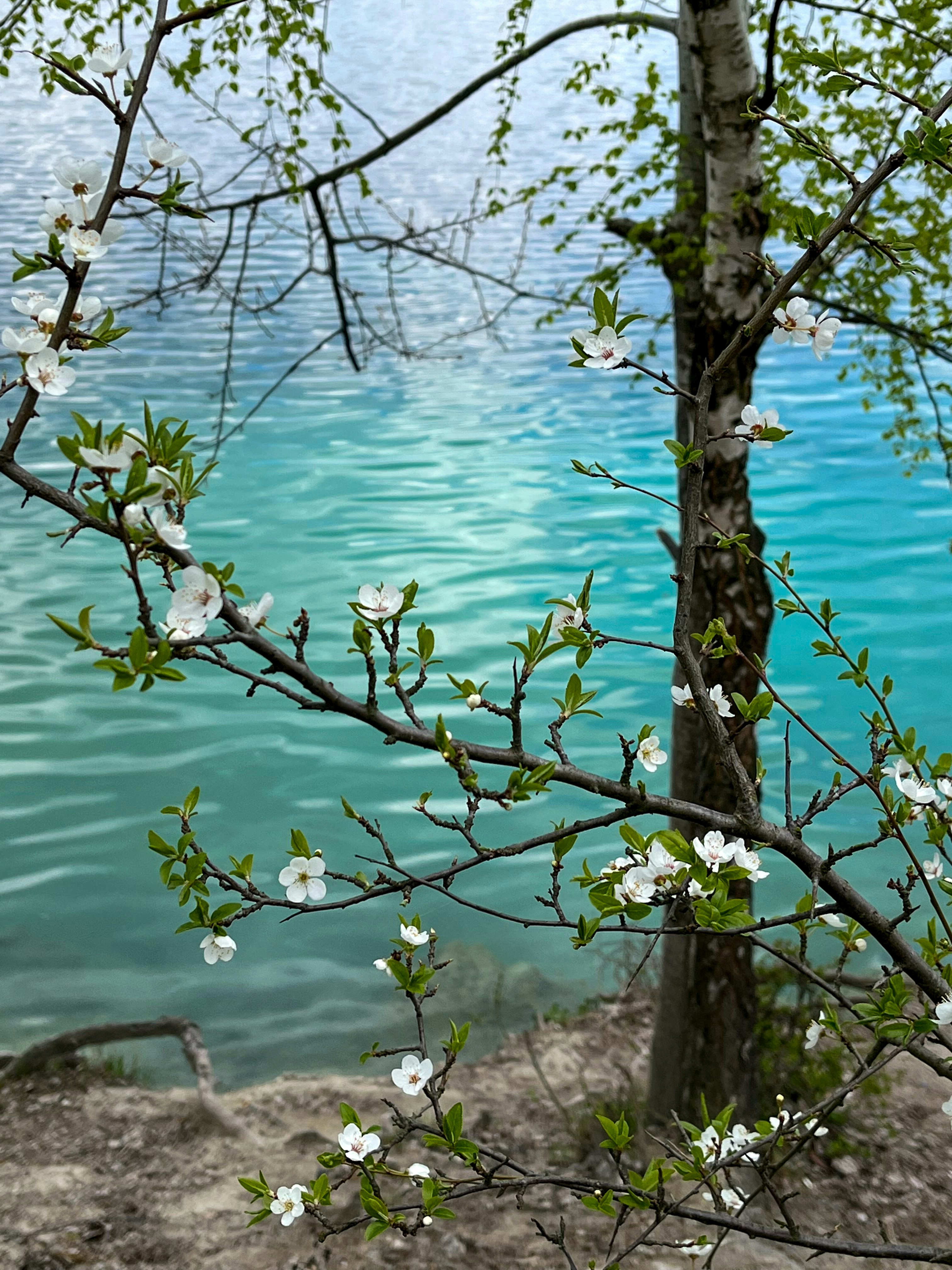 Photo by travelertraveler_