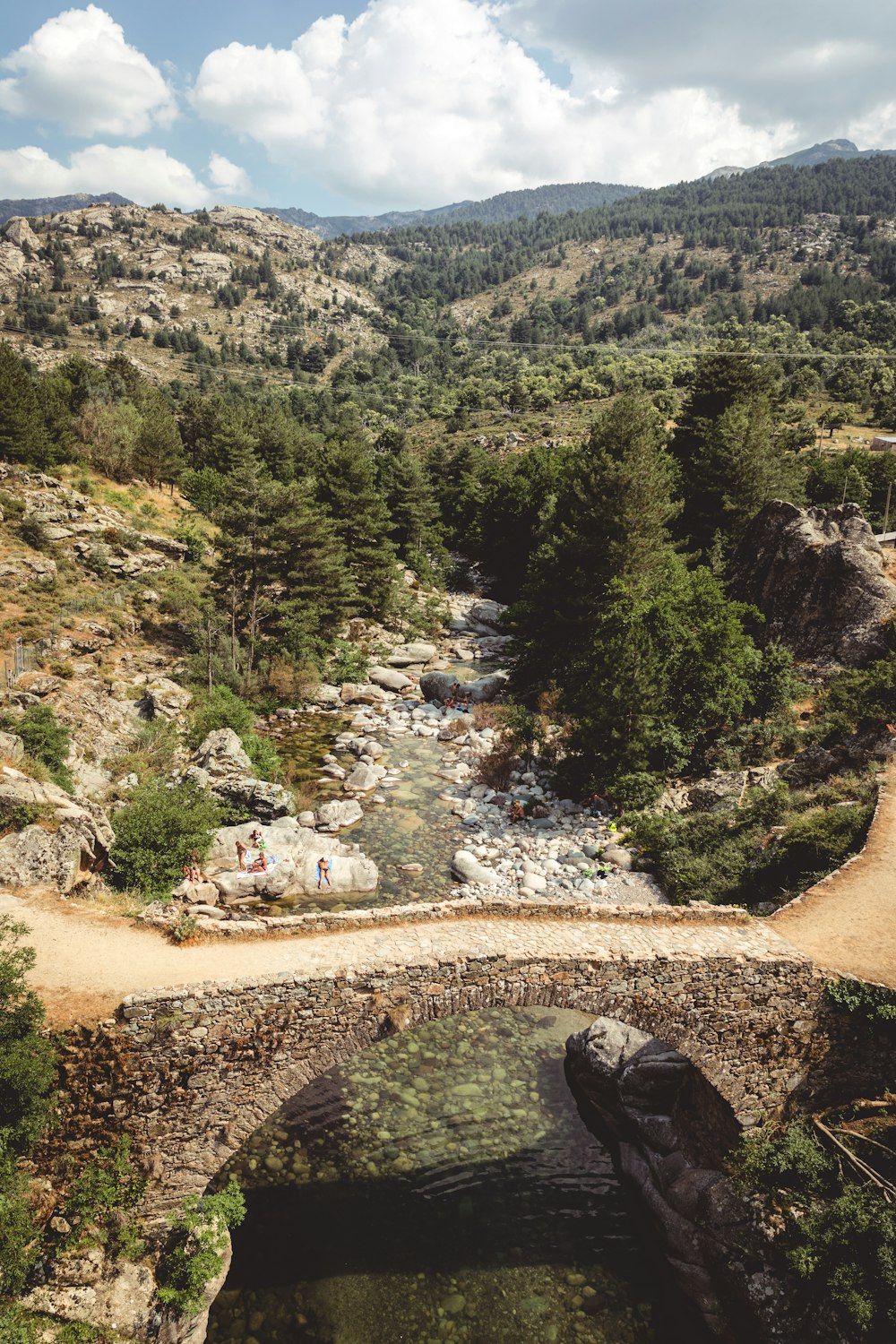 a landscape with trees and a body of water