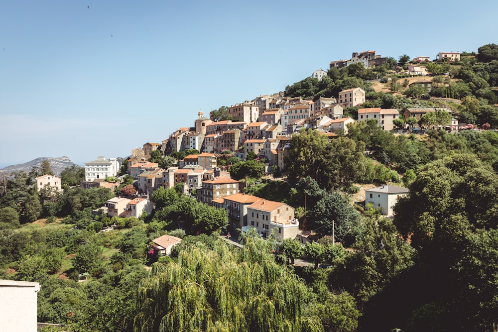 a group of houses on a hill