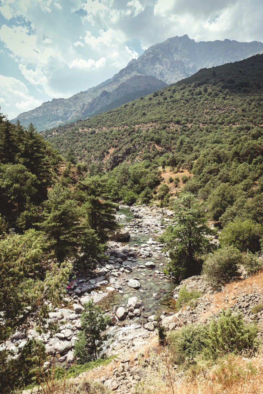 a river running through a valley