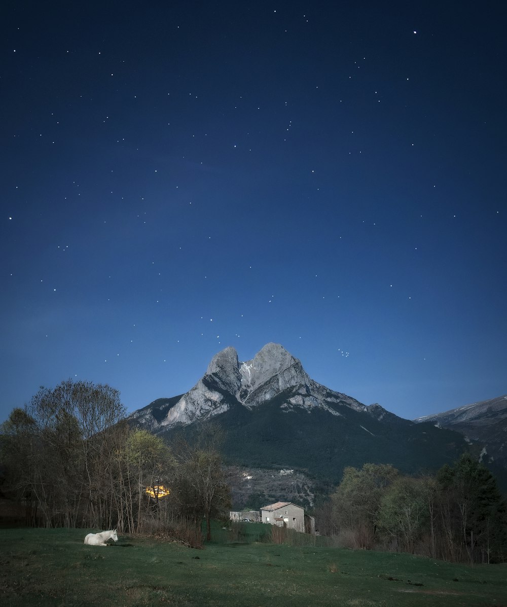 a house in front of a snowy mountain