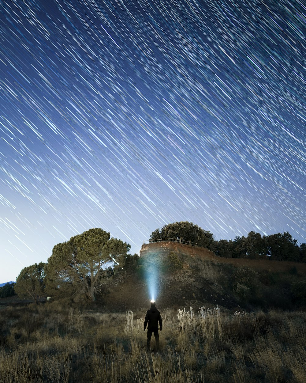 Una persona parada en un campo con un cielo estrellado arriba