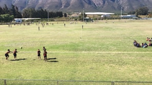 A wide view of the mini campo gramado with families enjoying outdoor activities