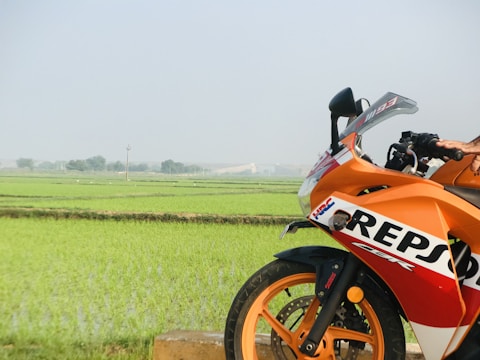 An orange sport motorcycle with REPSOL branding is parked near a lush green paddy field. The motorcycle's front section is visible, showcasing the wheel, handlebar, and part of the body. The background features expansive fields with rows of rice plants extending into the horizon under a clear sky.