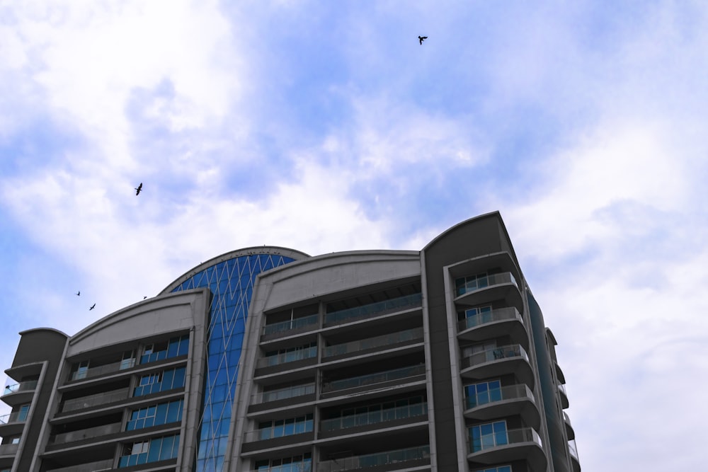 birds flying over a building