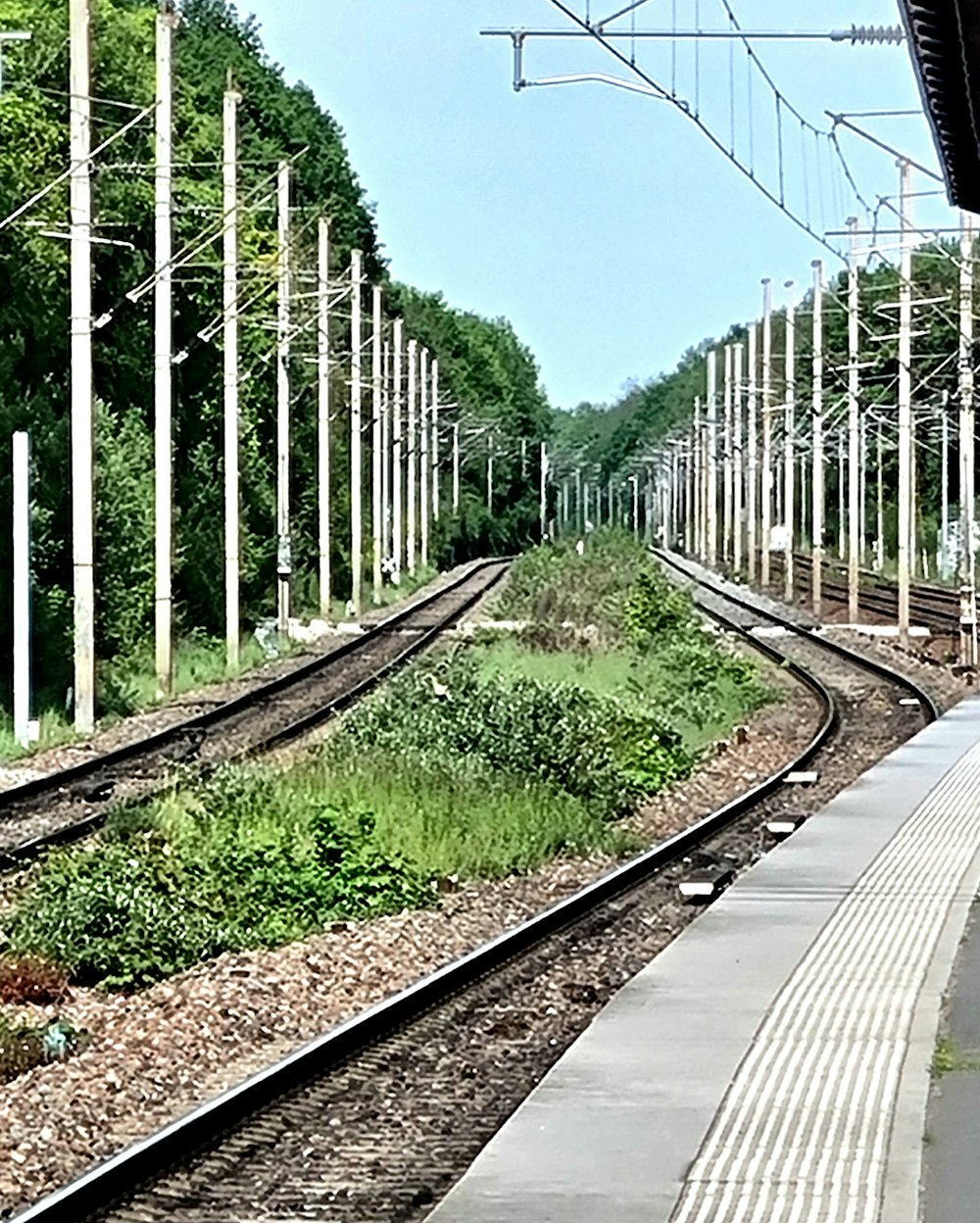 train tracks with white poles