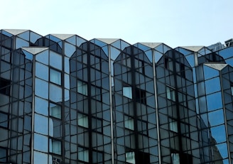 a building with many windows